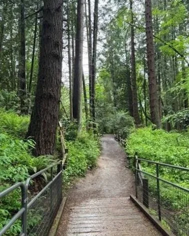 a green trail near parks and community spaces in Bethany Oregon