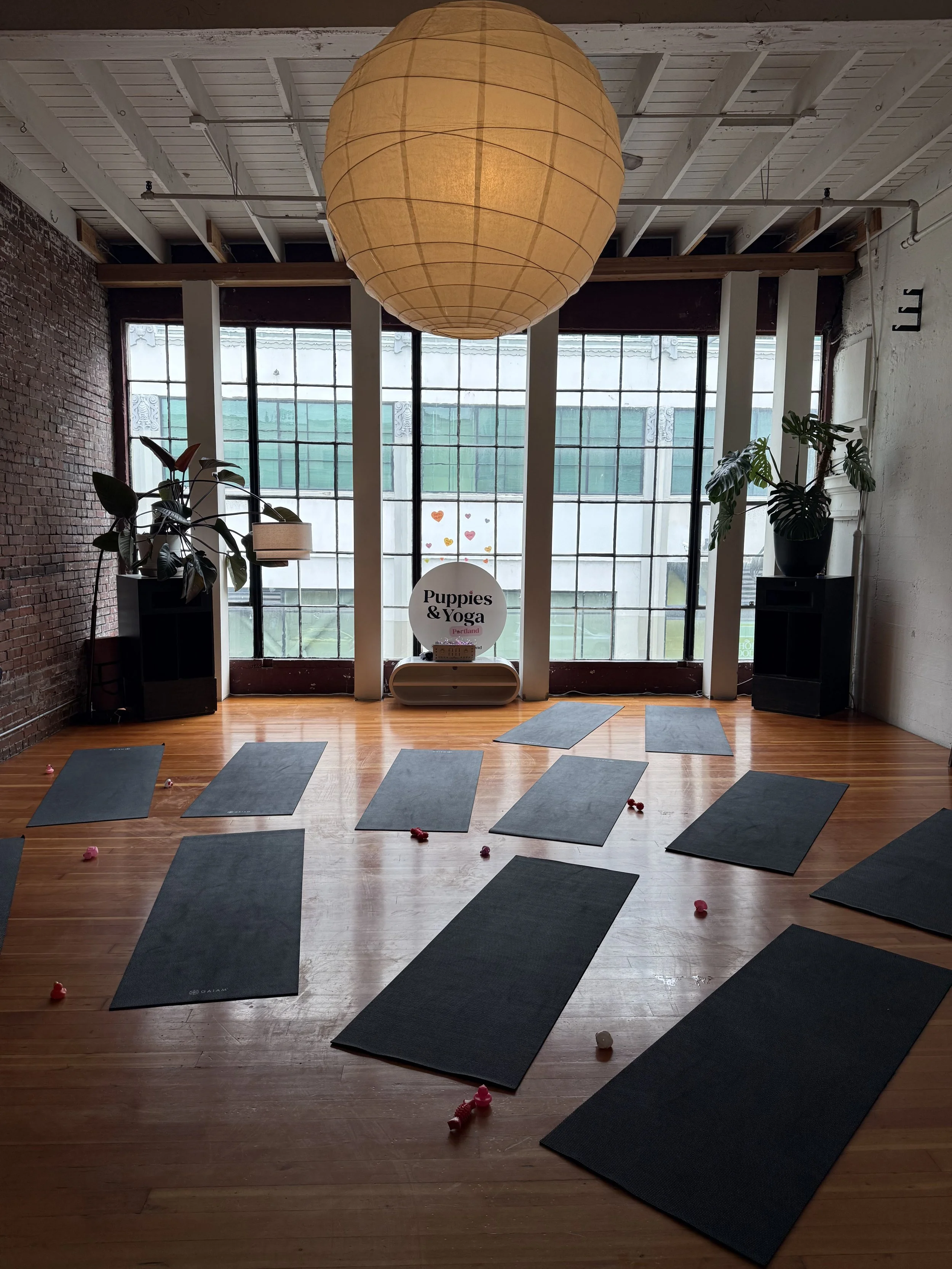 happy VIP clients stretching and laughing during Puppy Yoga 2026 in Portland, OR