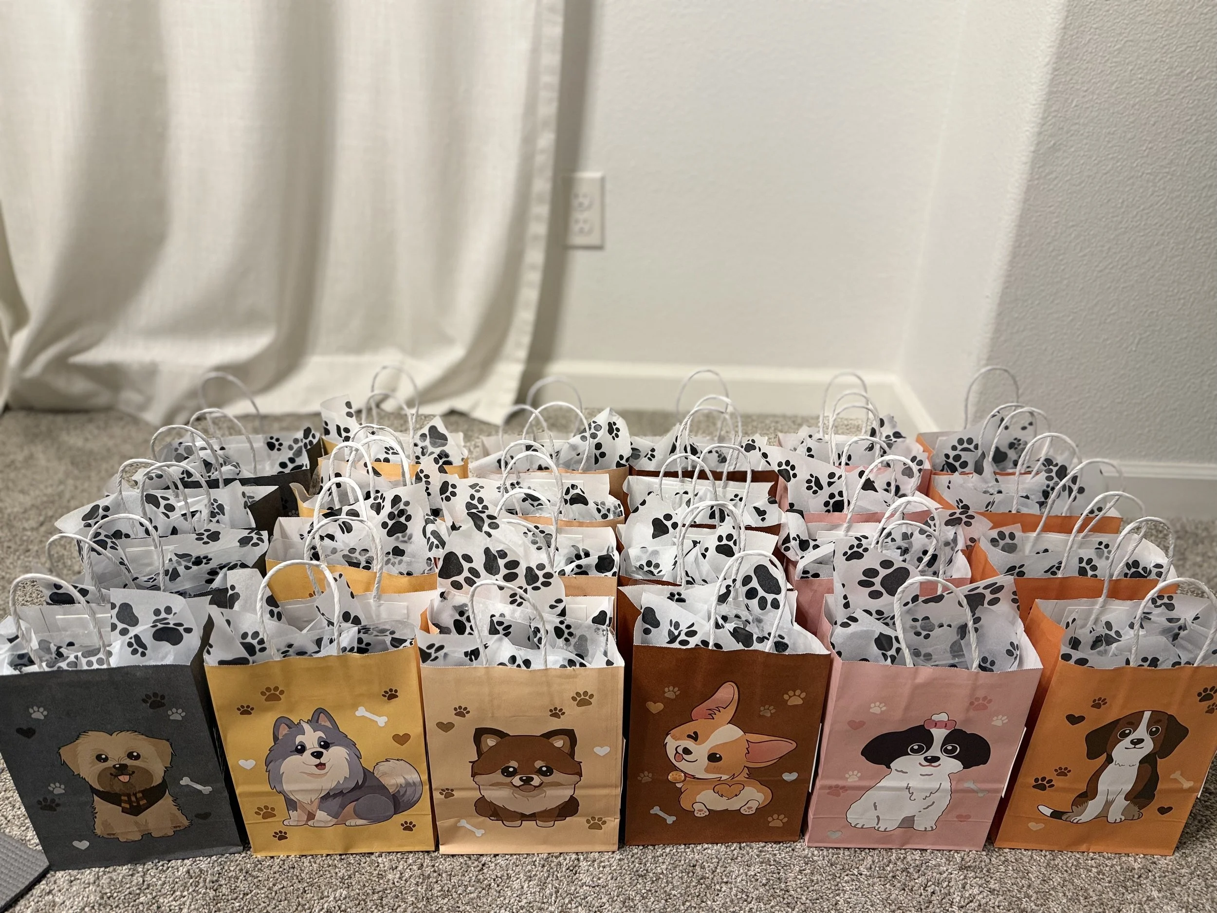 gift at Puppy Yoga 2026 VIP client event in Portland, OR