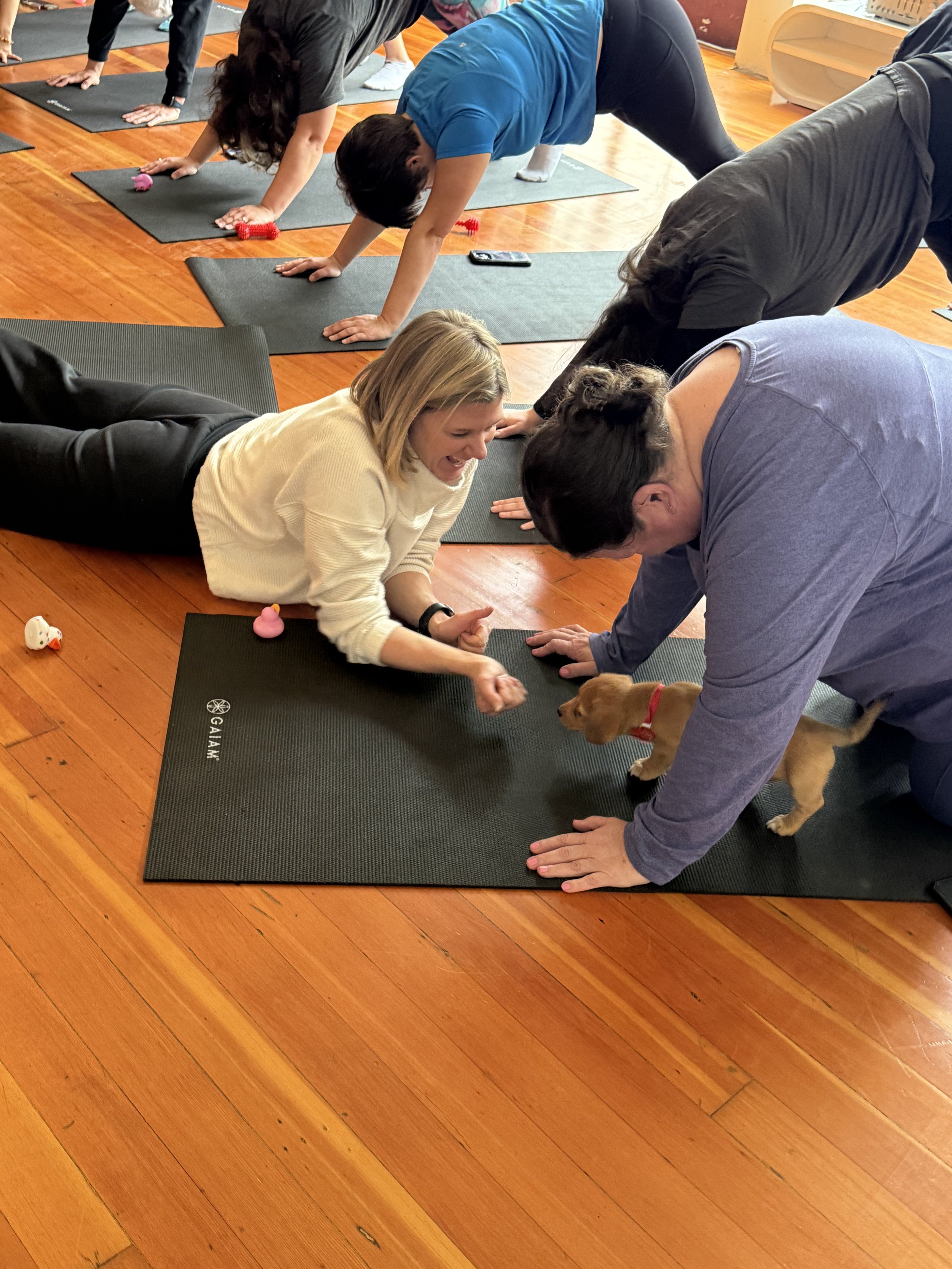 Friends and clients playing with puppies during Puppy Yoga 2026 with Rhonda Riley at a VIP event in Portland, OR