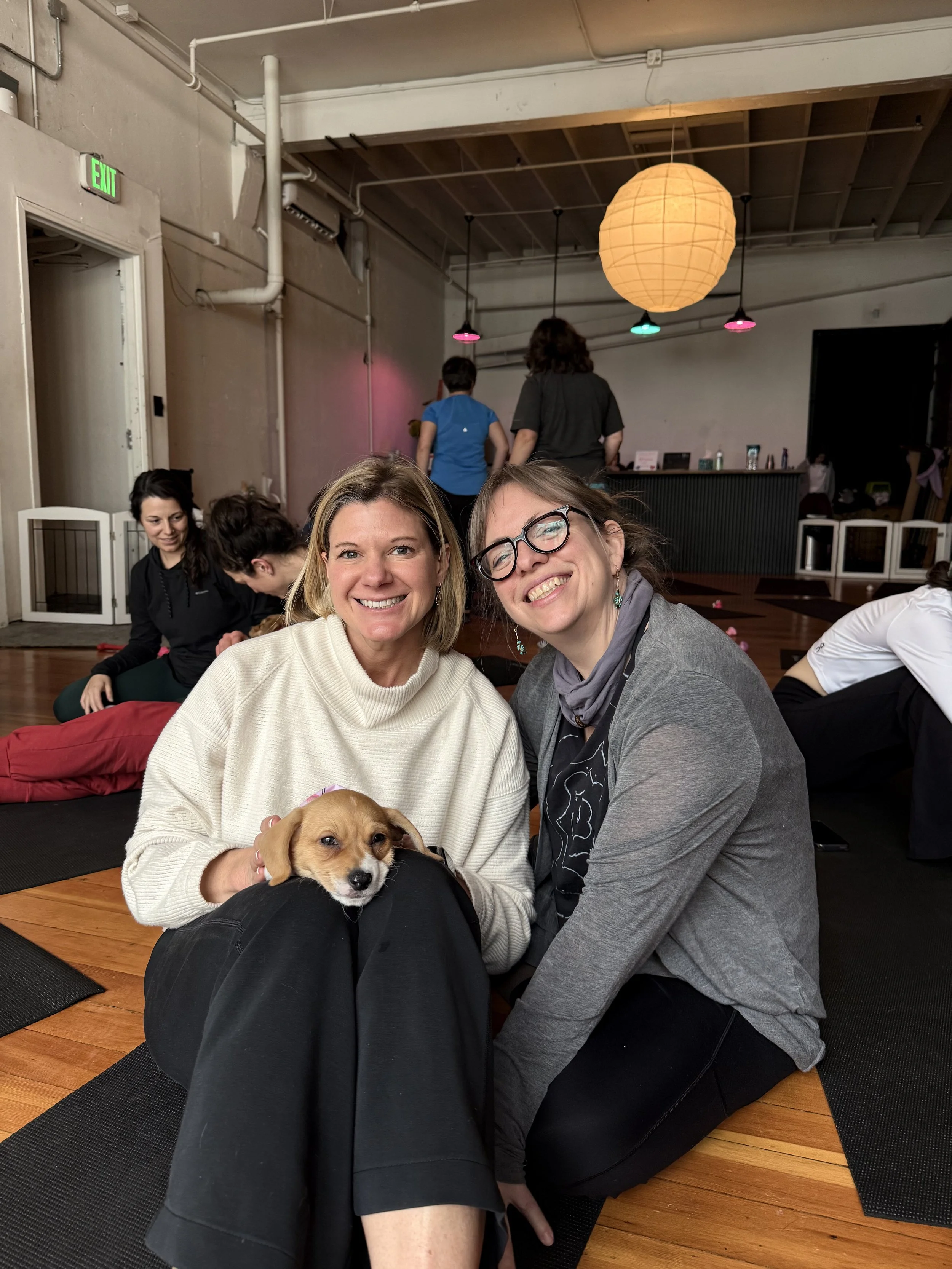 Friends and clients playing with puppies during Puppy Yoga 2026 with Rhonda Riley at a VIP event in Portland, OR