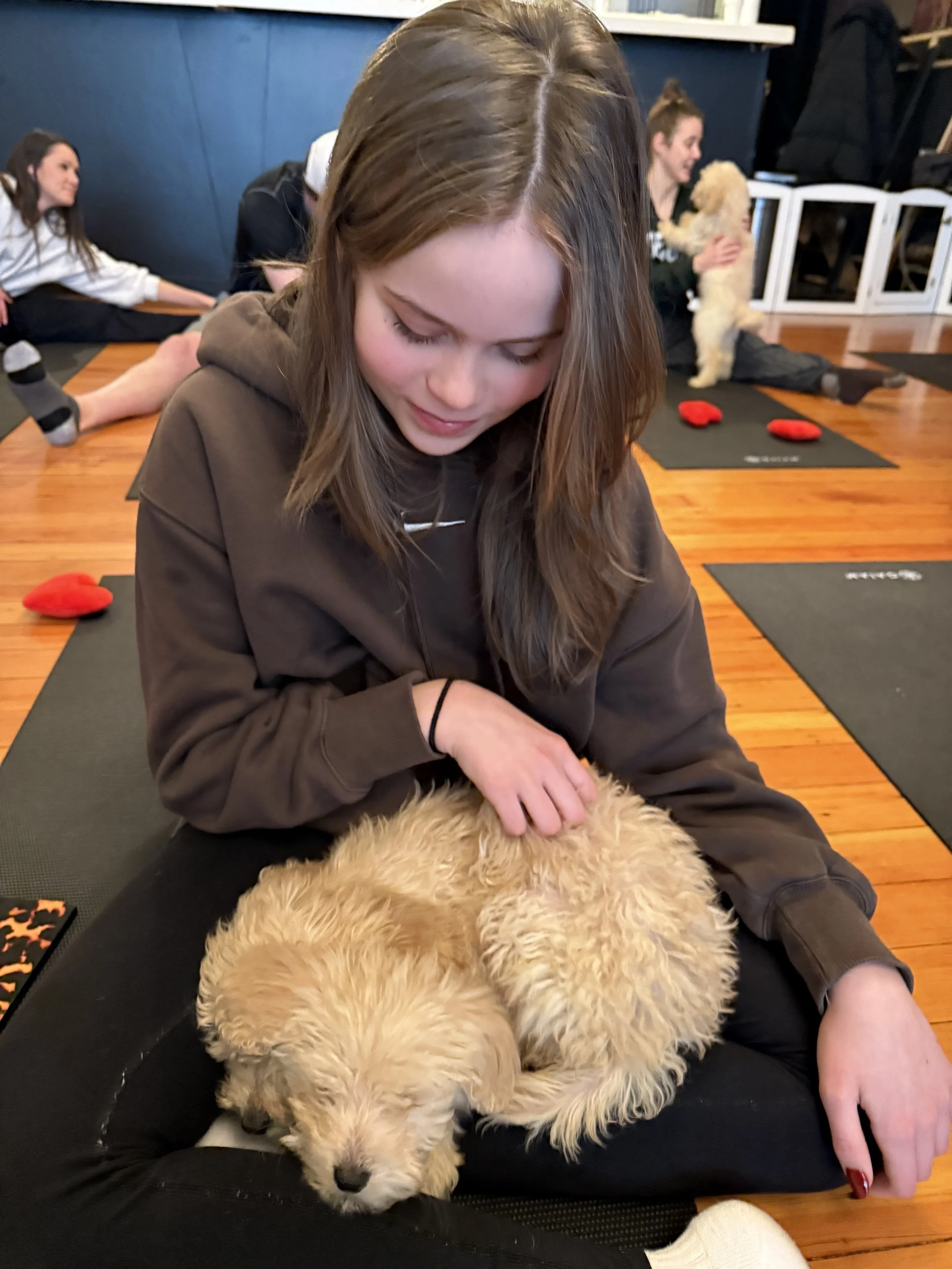 Smiling clients enjoying the playful atmosphere of Puppy Yoga 2025 with puppies in Portland, OR
