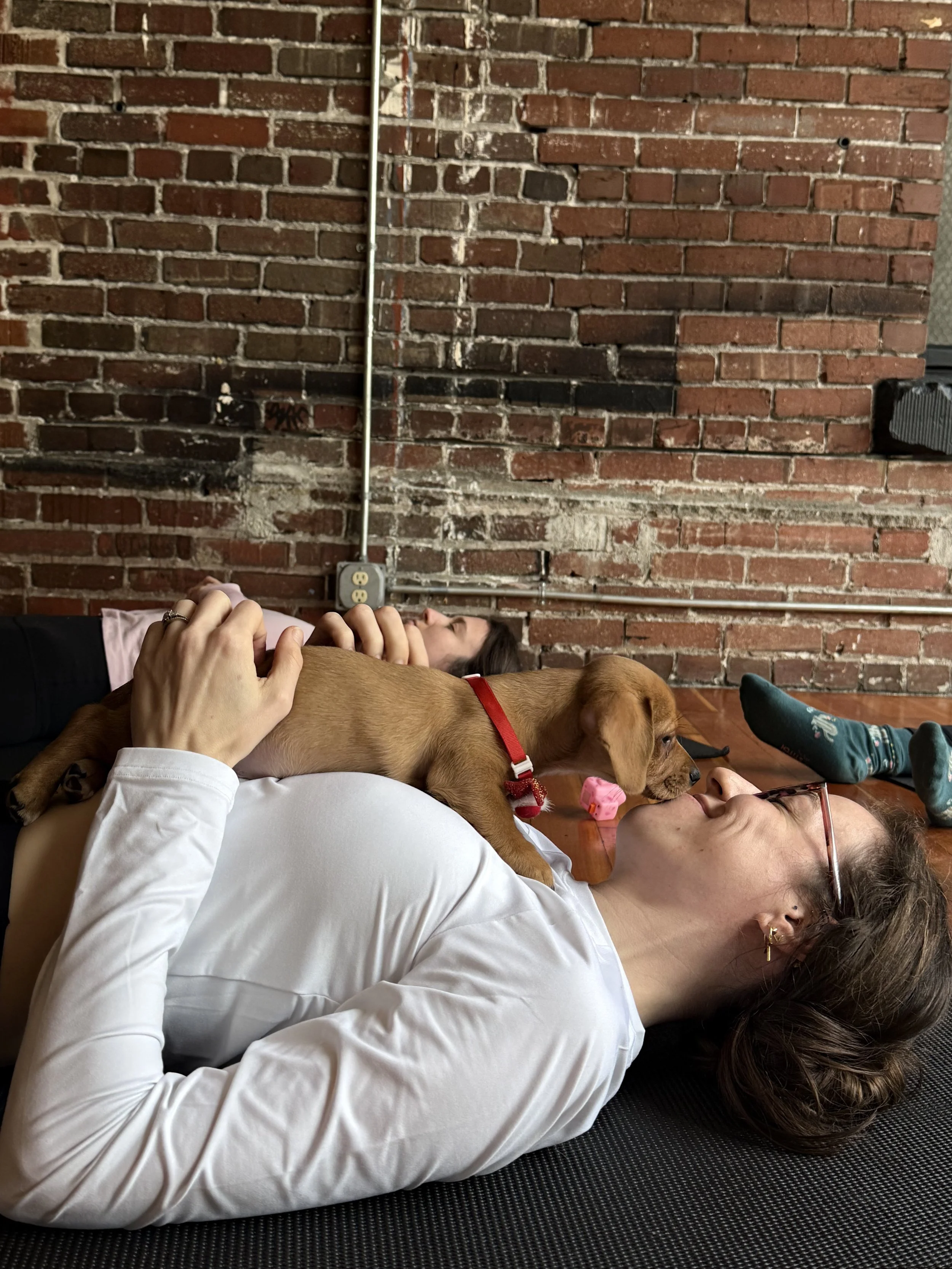 Guests laughing and playing with puppies at Puppy Yoga 2026, including VIP clients and referrals, with Rhonda Riley in Portland, OR