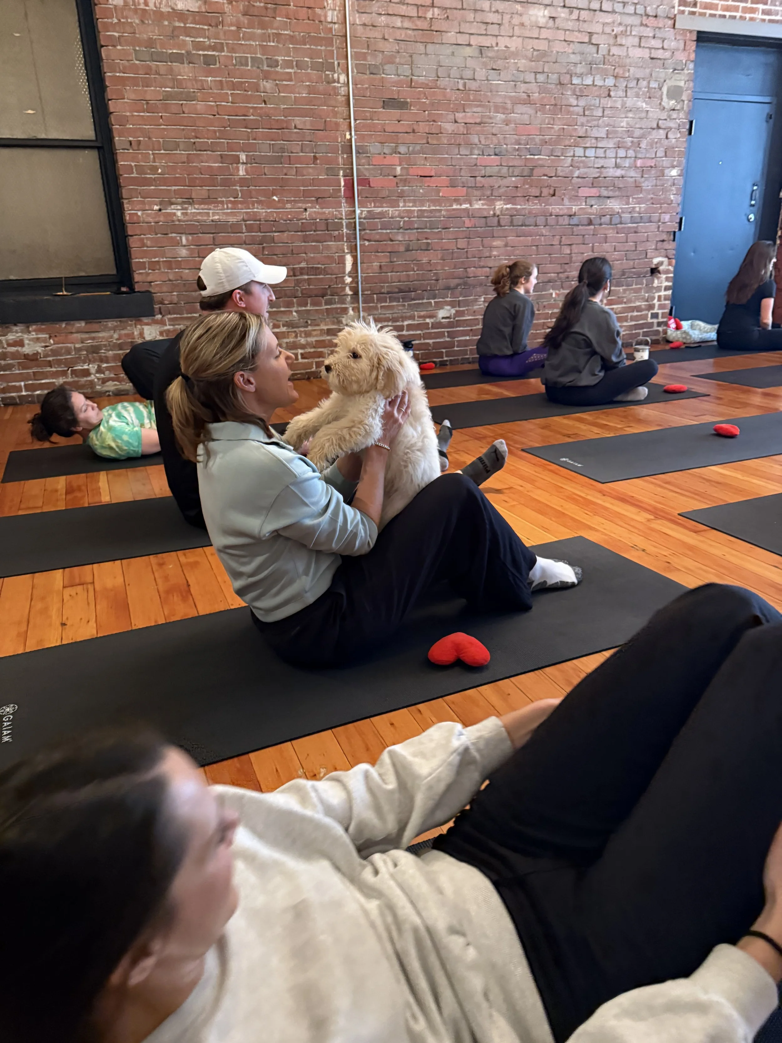 Group of friends practicing yoga with puppies at the VIP Puppy Yoga 2025 client appreciation event in Portland, OR