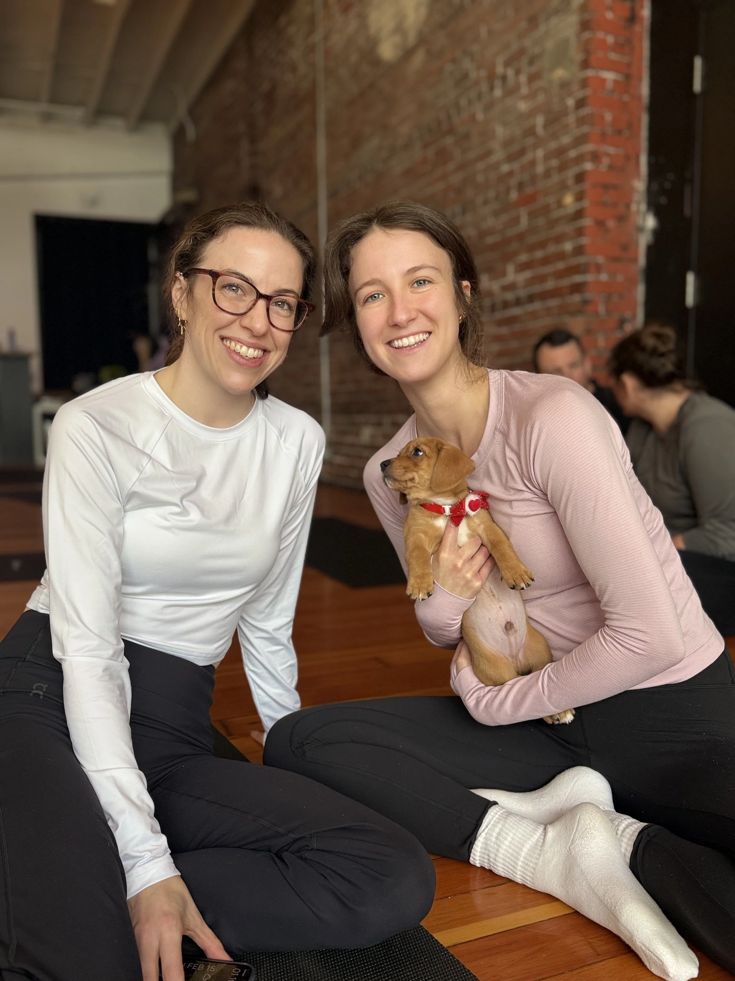 Group of friends practicing yoga with puppies at the VIP Puppy Yoga 2026 client appreciation event in Portland, OR