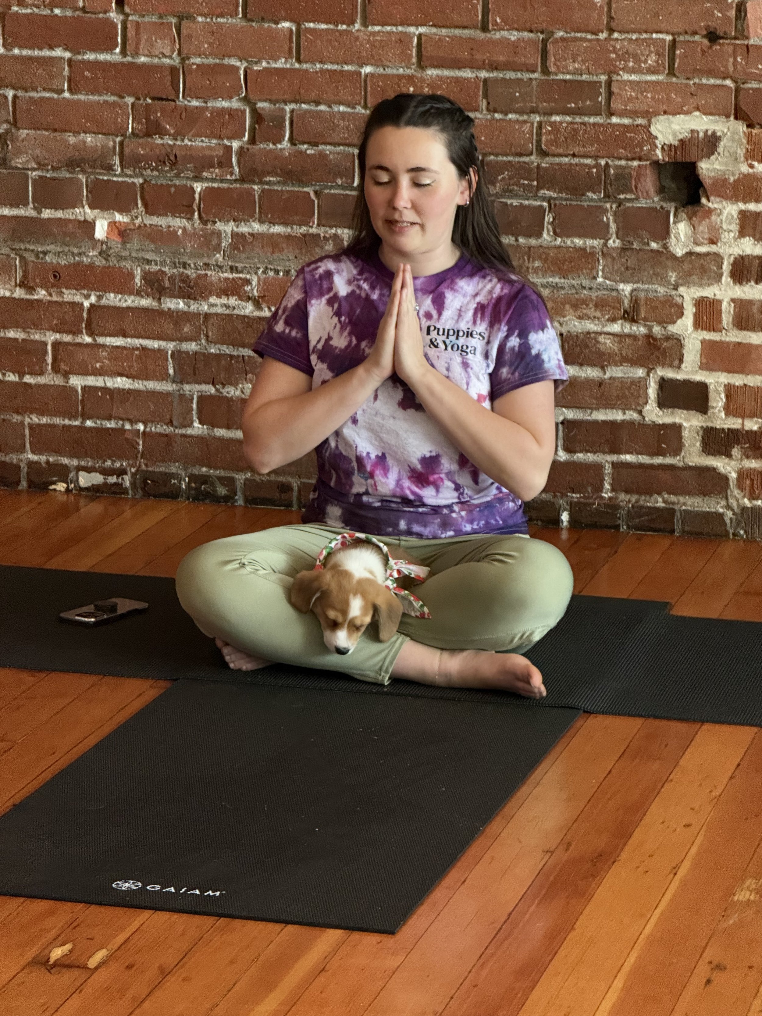 VIP client and referral doing Yoga with puppies in Portland, OR