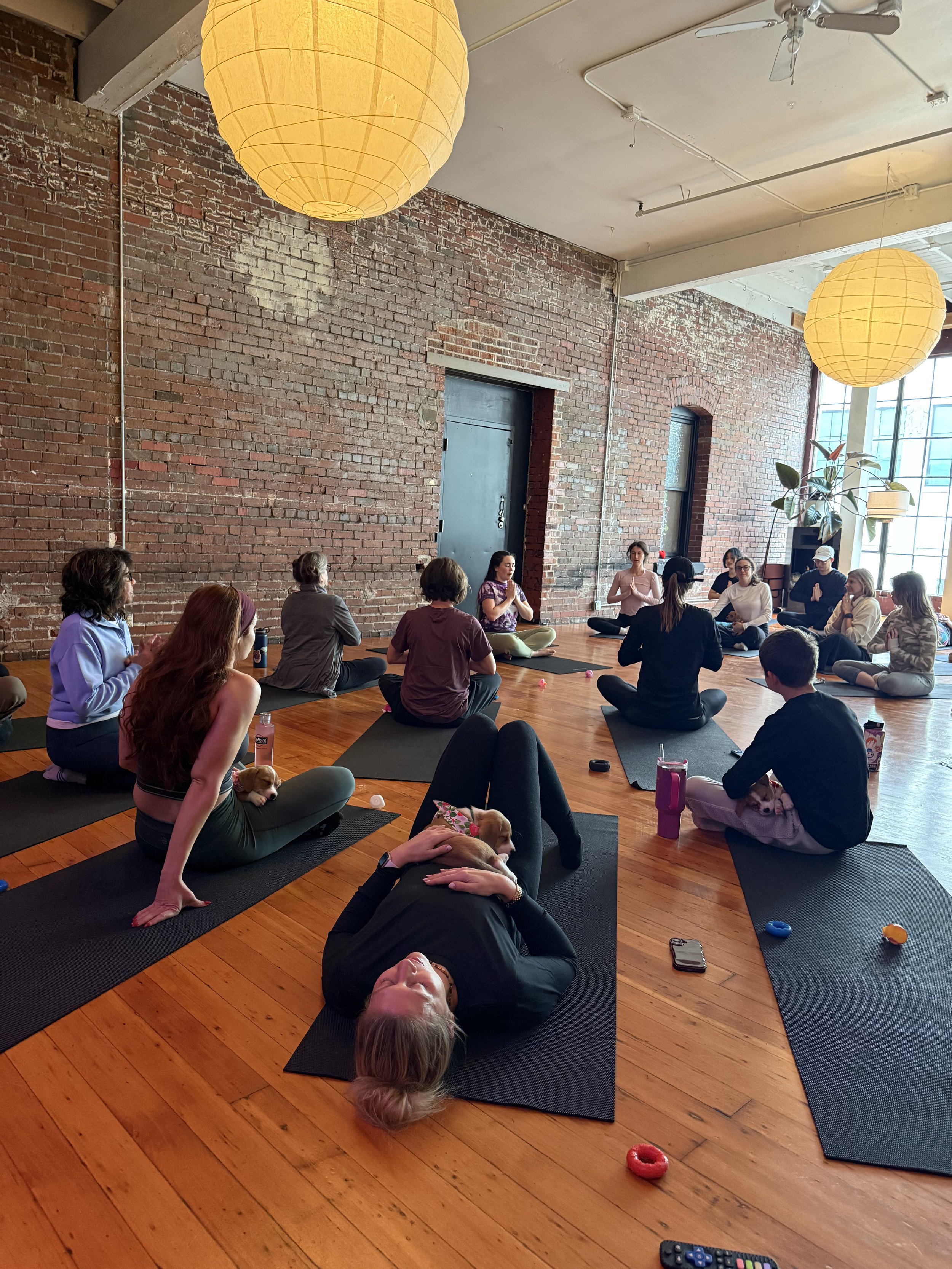 Friends practicing yoga with puppies during Puppy Yoga 2026 client and community event in Portland, OR