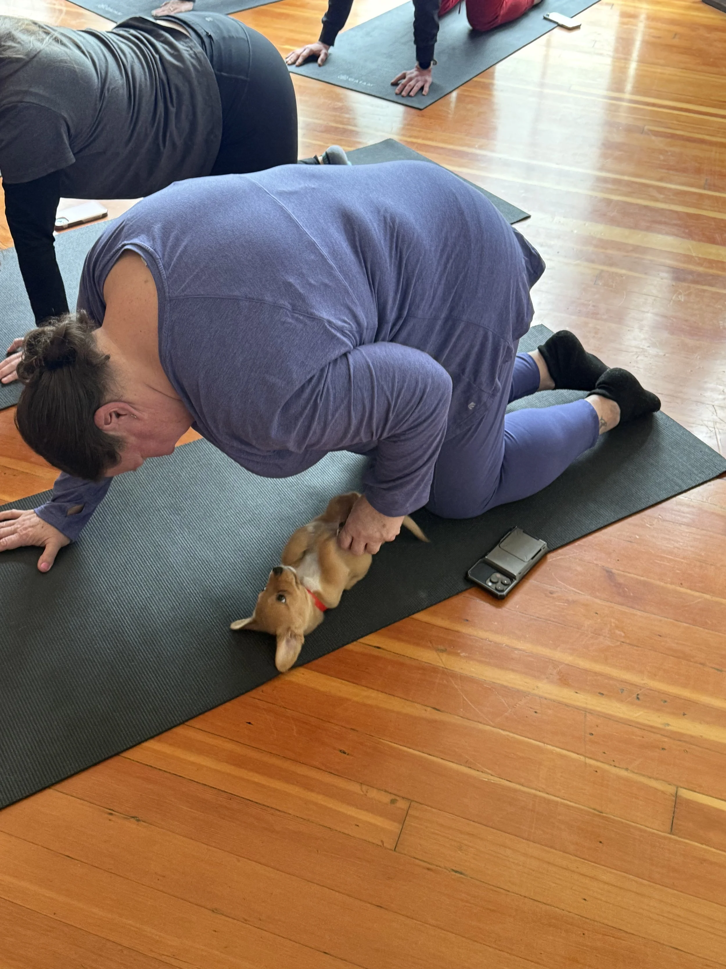 VIP clients and referrals enjoying Puppy Yoga 2026 with puppies in Portland, OR