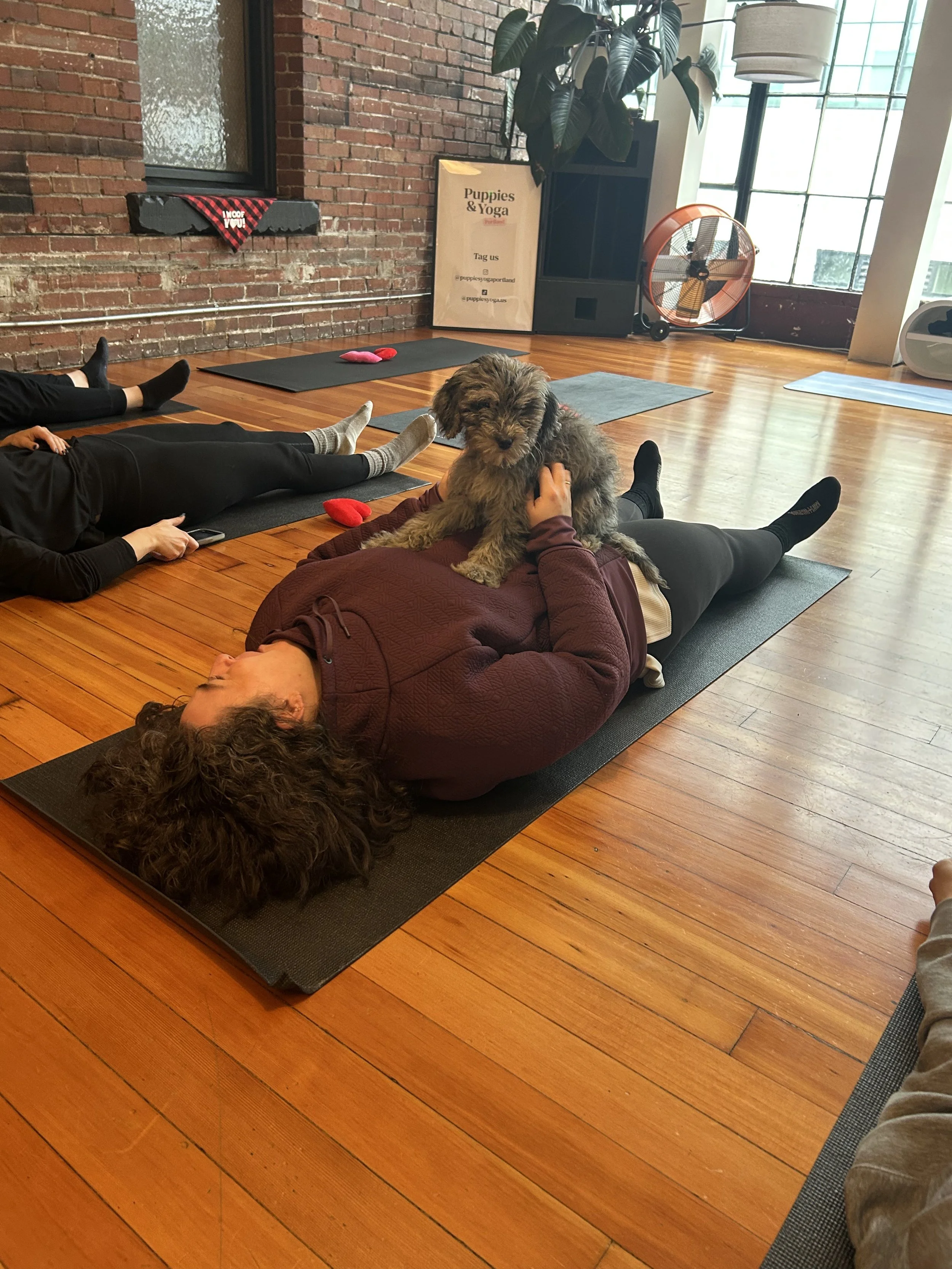 Happy clients participating in Puppy Yoga 2025 VIP event with puppies in Portland, OR