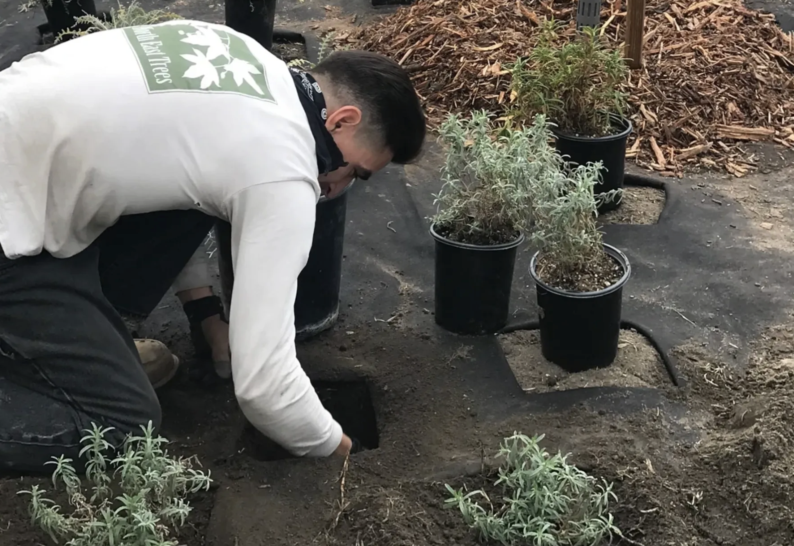 Screenshot 2026-02-09 at 6.21.57 PM.png