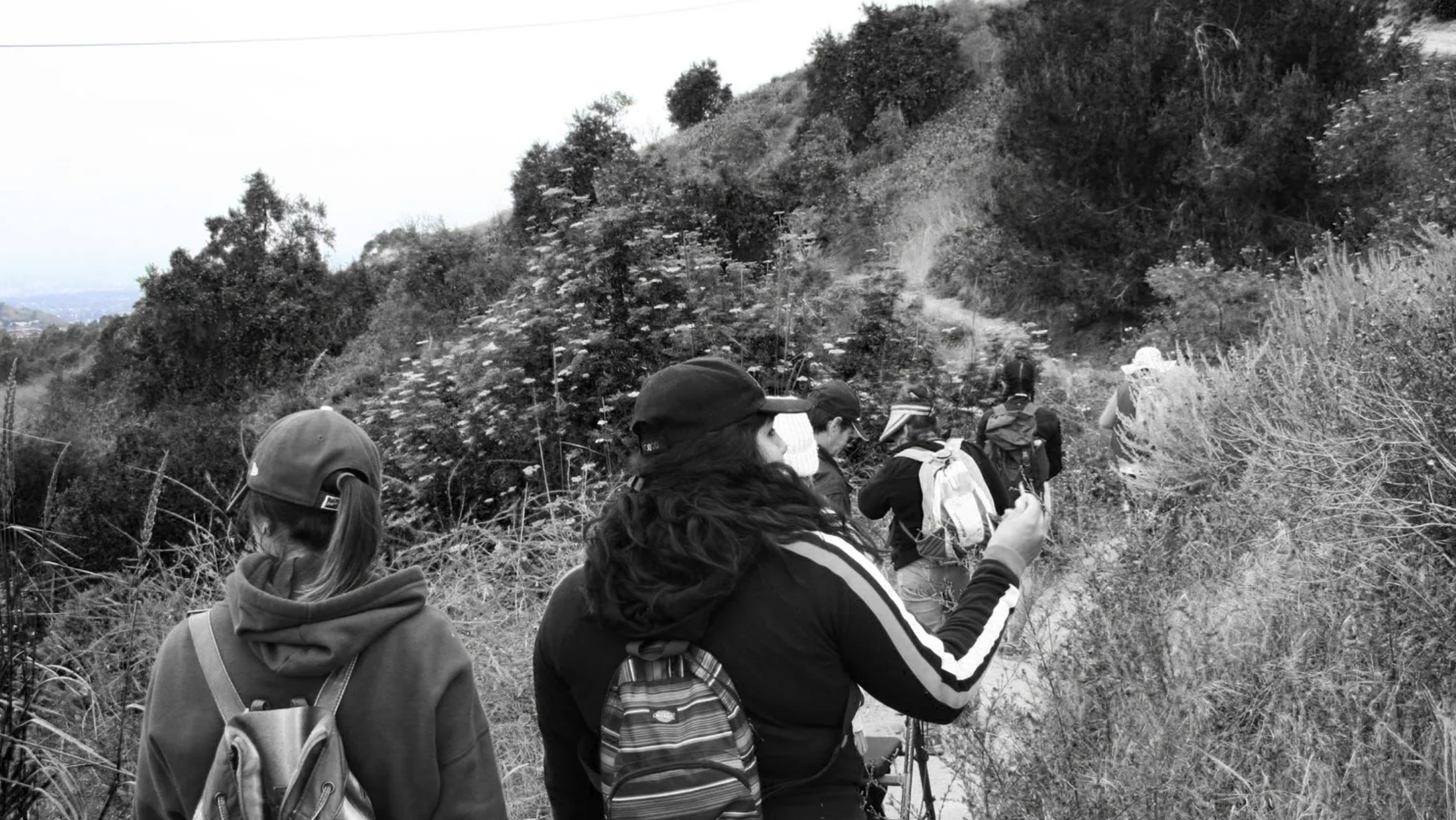 Studio South Central