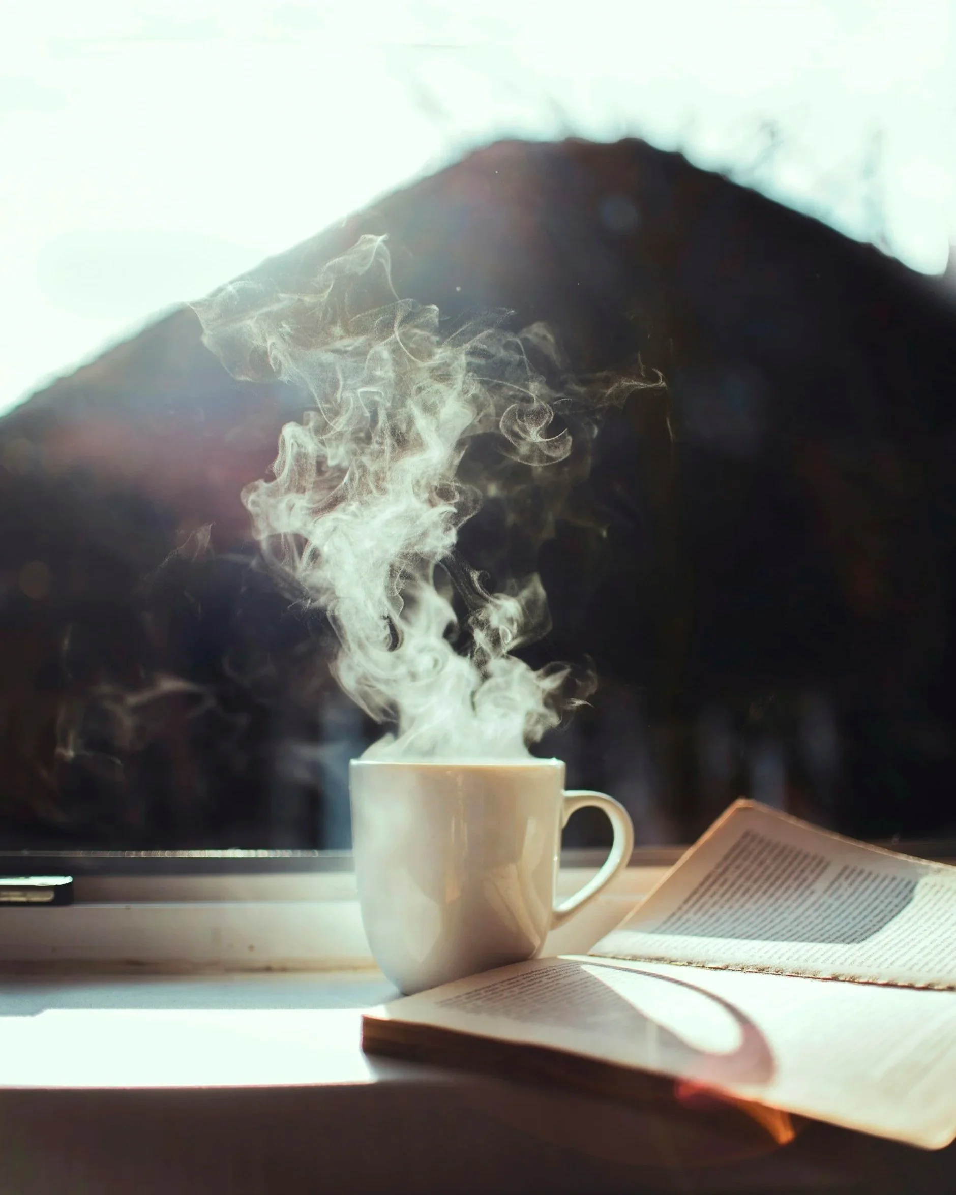 The Logic of Anchoring