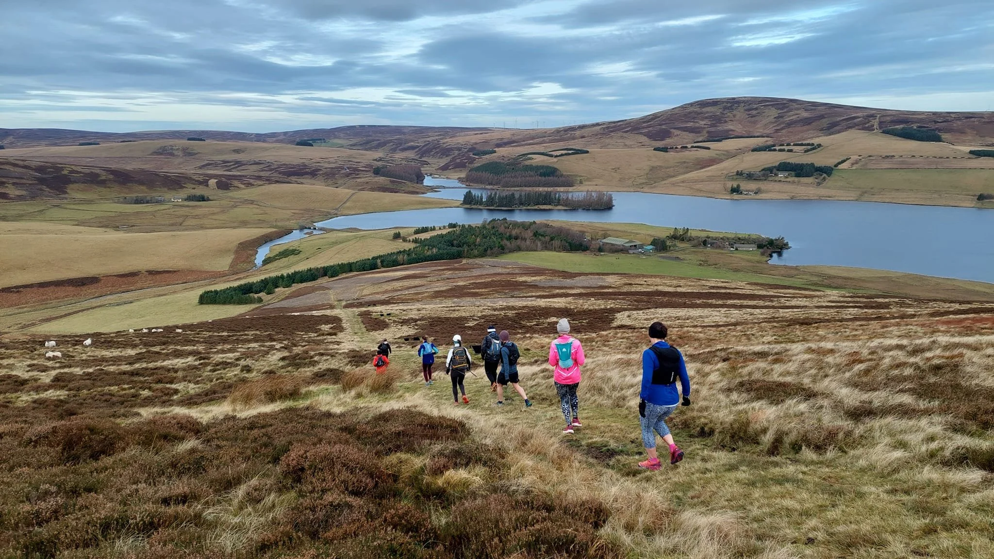 Group of trail runners from Haddington Running Club running down a hillside trail overlooking a lake and rolling hills.