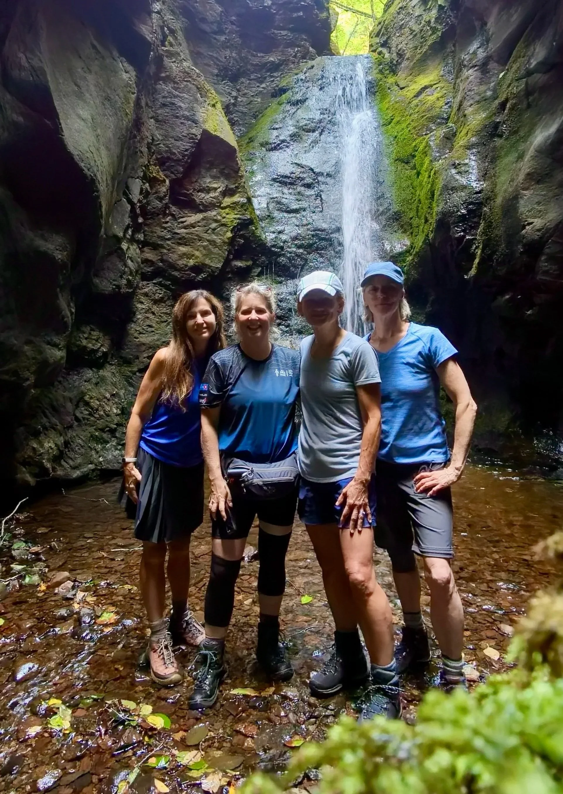 Into the Canyon : A Forest Journey