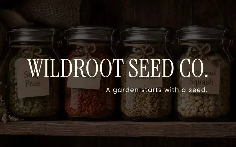 Four glass jars filled with different seeds labeled peans, red seeds, etc., on a wooden shelf with text overlay reading "Wildroot Seed Co. A garden starts with a seed."