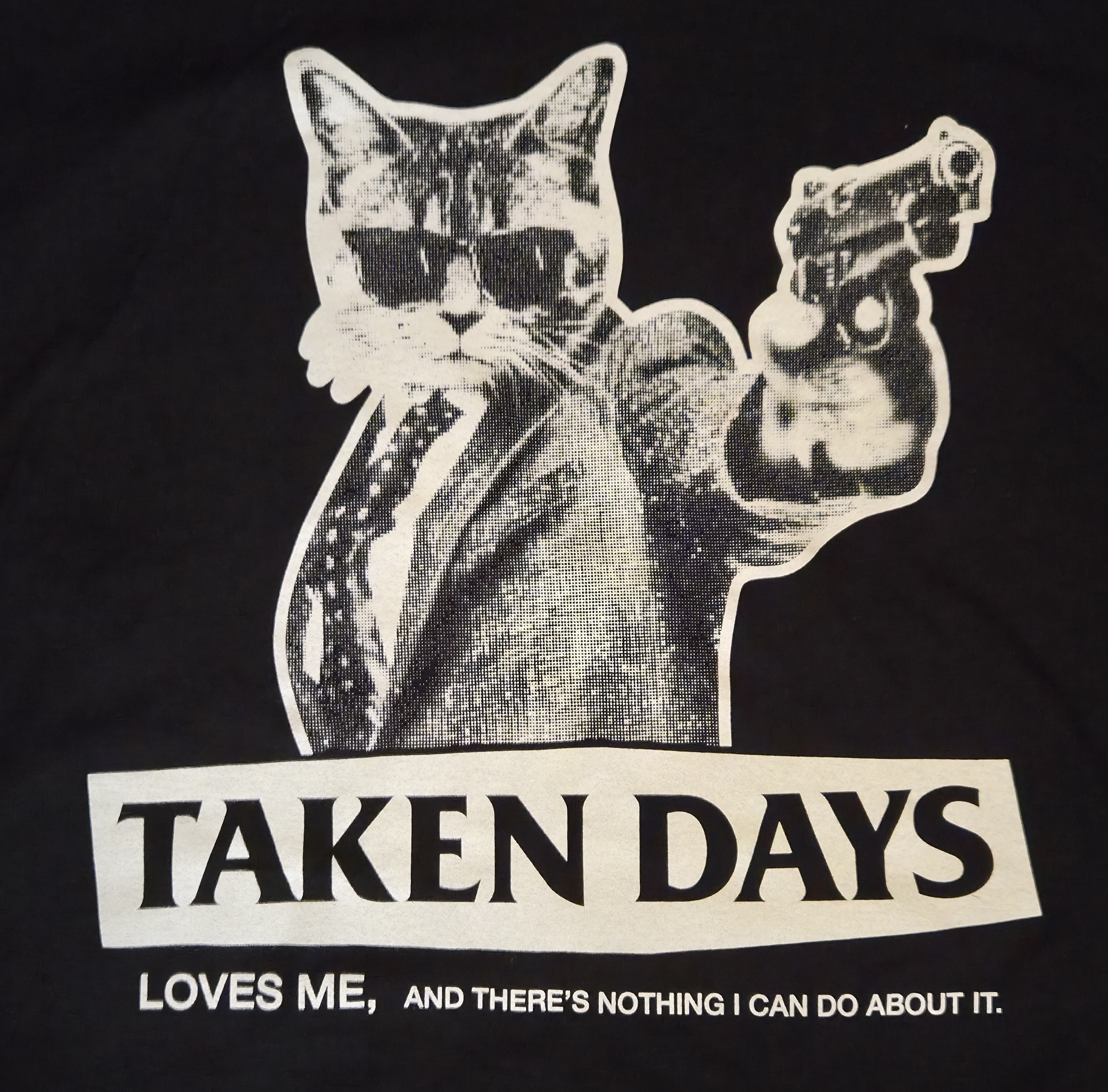 Cat Harry GRAPHIC.png