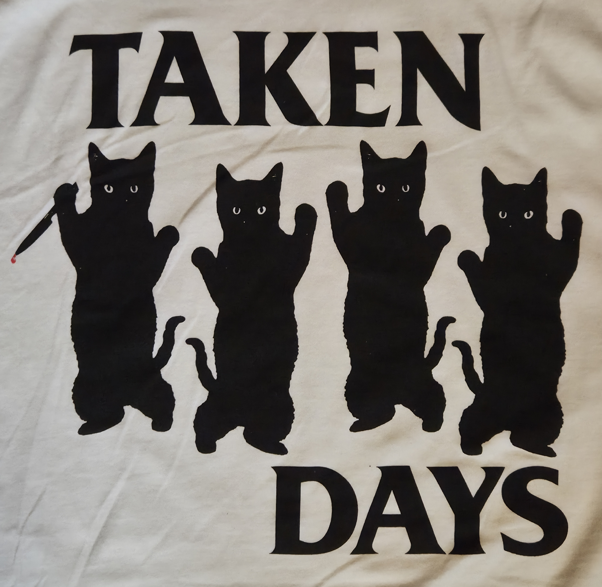 Cat Bars Graphic.png