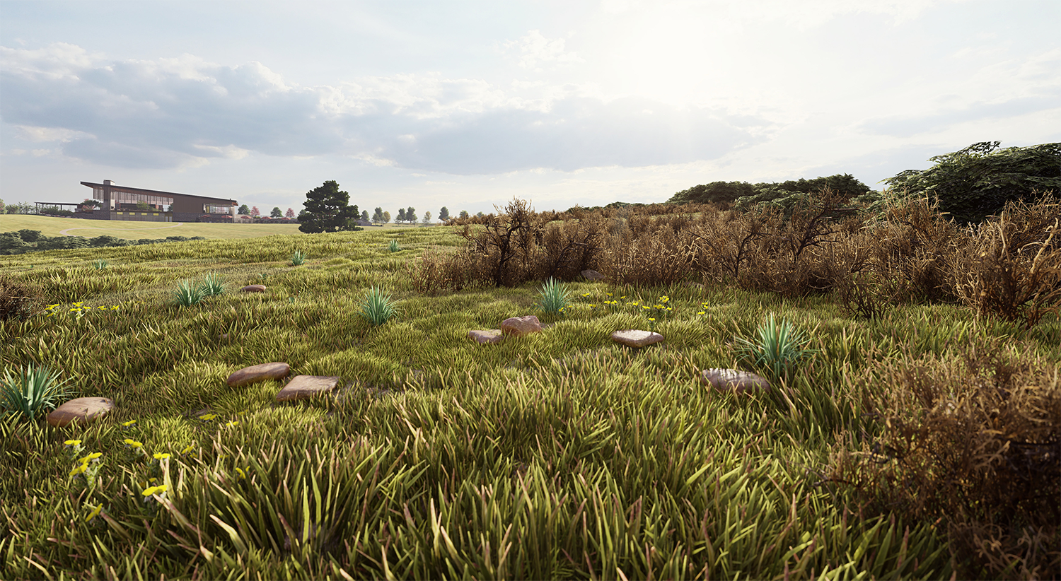 Photorealistic community perspective rendering of Macanta, a master planned community in Castle Rock