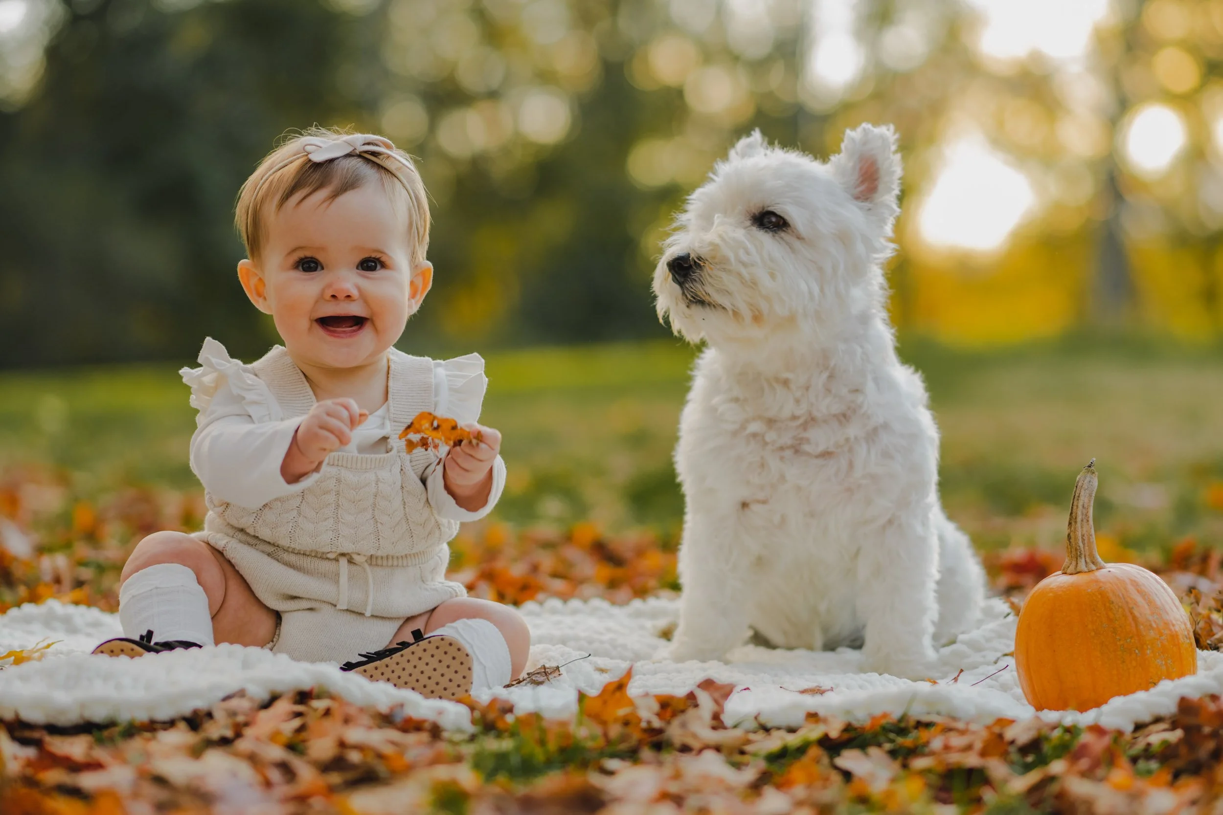 Announcement: Booking for our 2022 Fall Mini Sessions is Now Open!