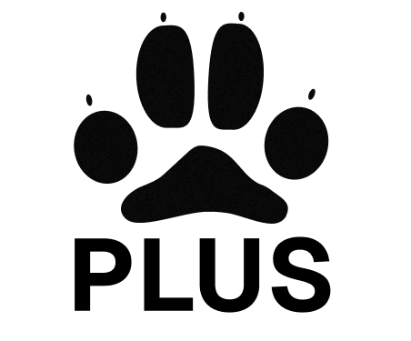 PLUS