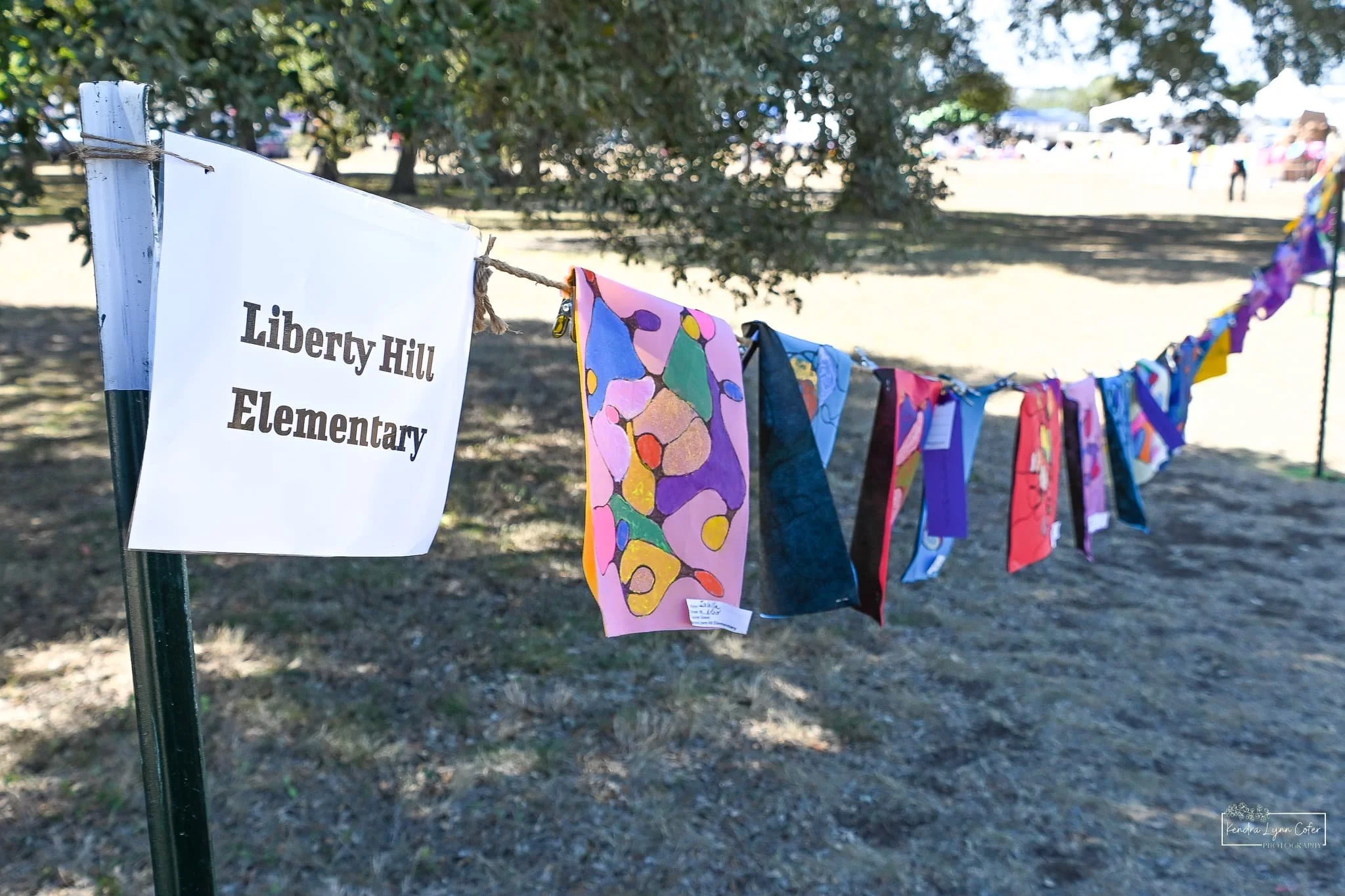LHE flags.jpg
