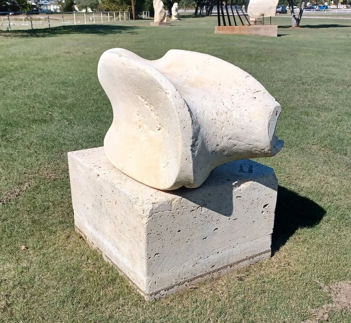 Fluidity by Harry Noordhoek (Canada and Italy)