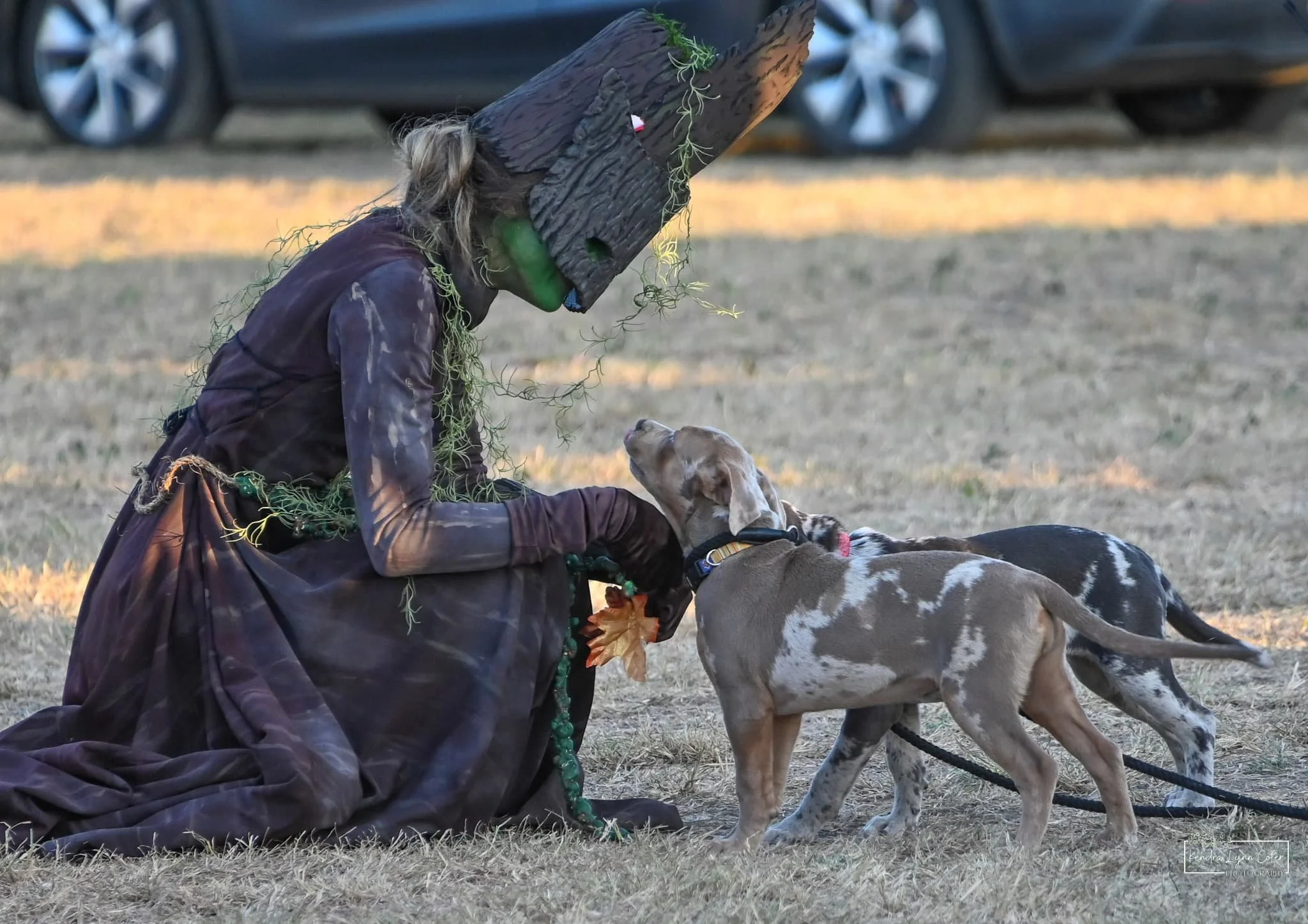 entertainer and doggies.jpg