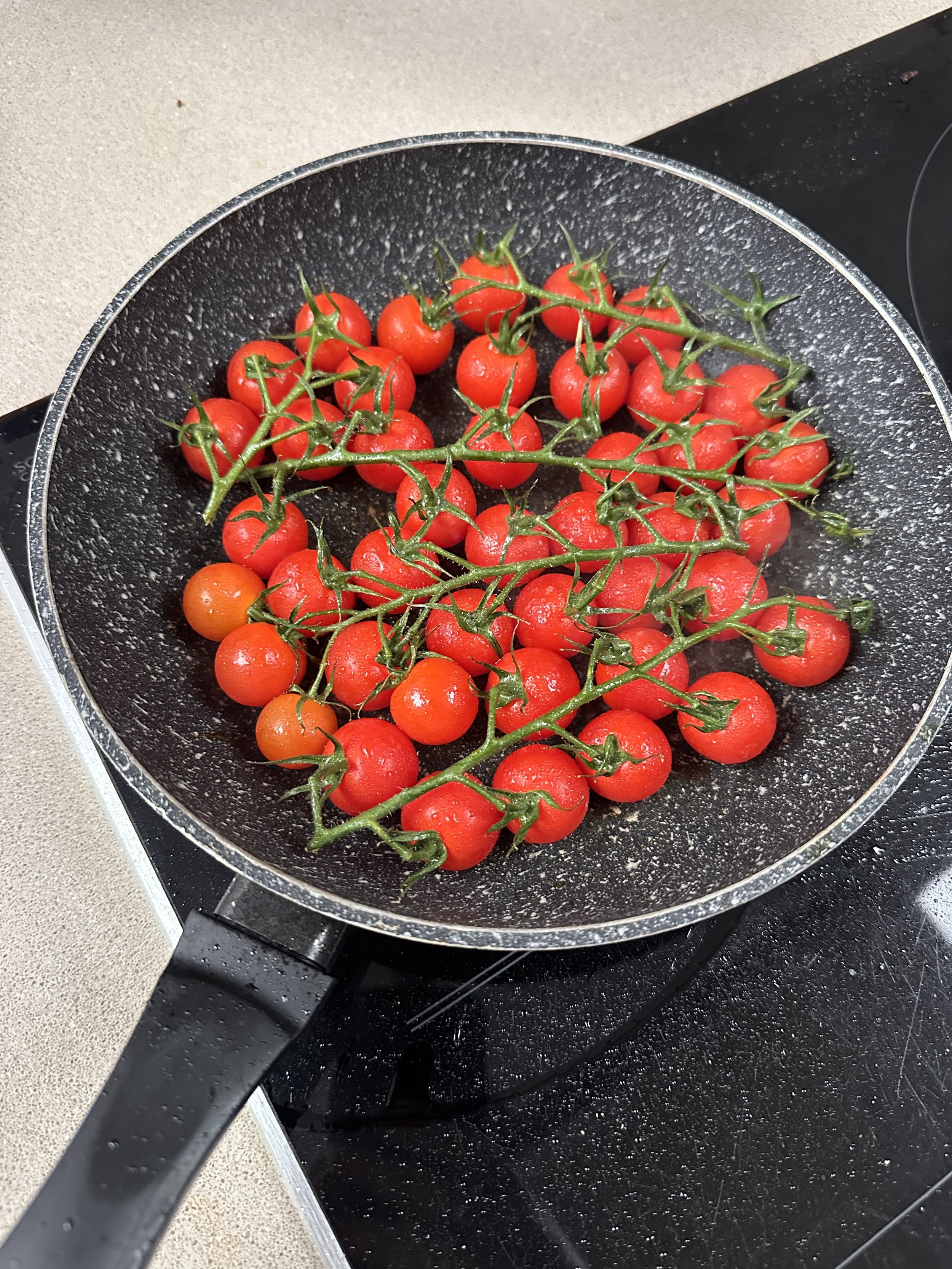 Monday Gardening Start: What to Sow in March – Chillies, Basil &amp; Tomatoes 🌱