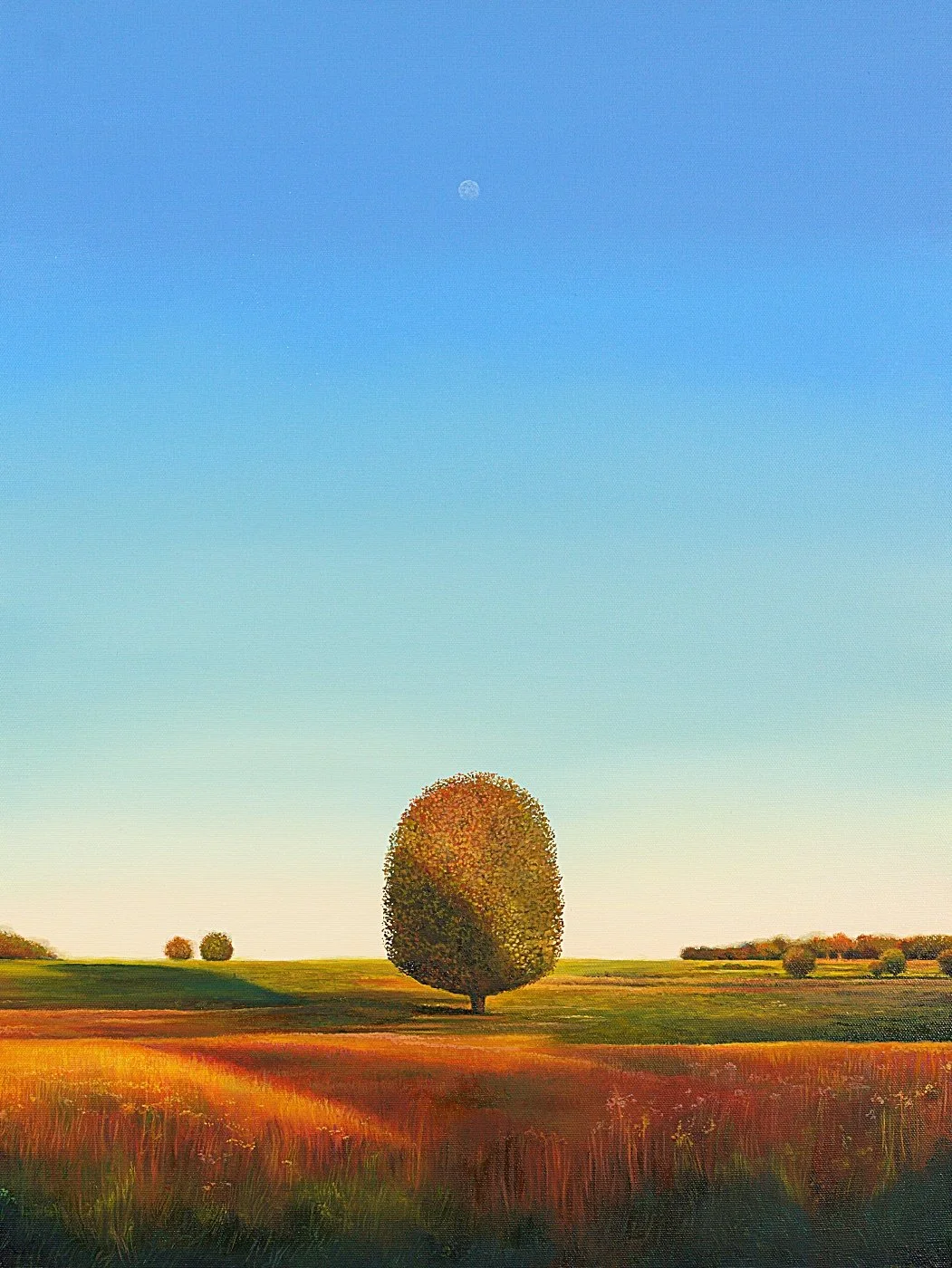 Shadow Harvest  2025 Oil on canvas 24x18.jpg