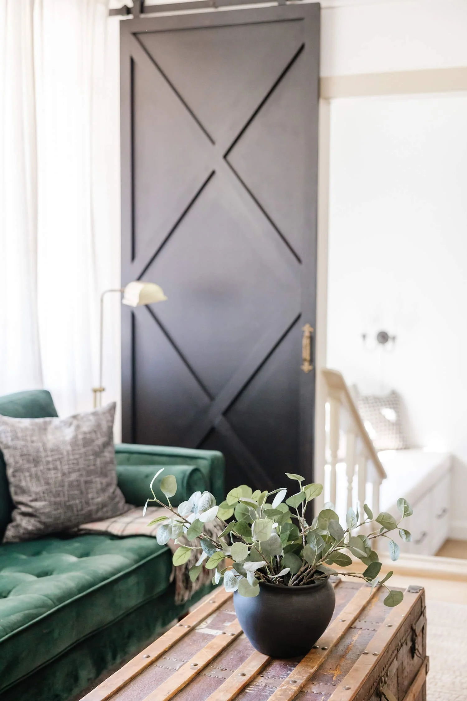 Earthy integrative medicine clinic with green couch, plants, black door plants,