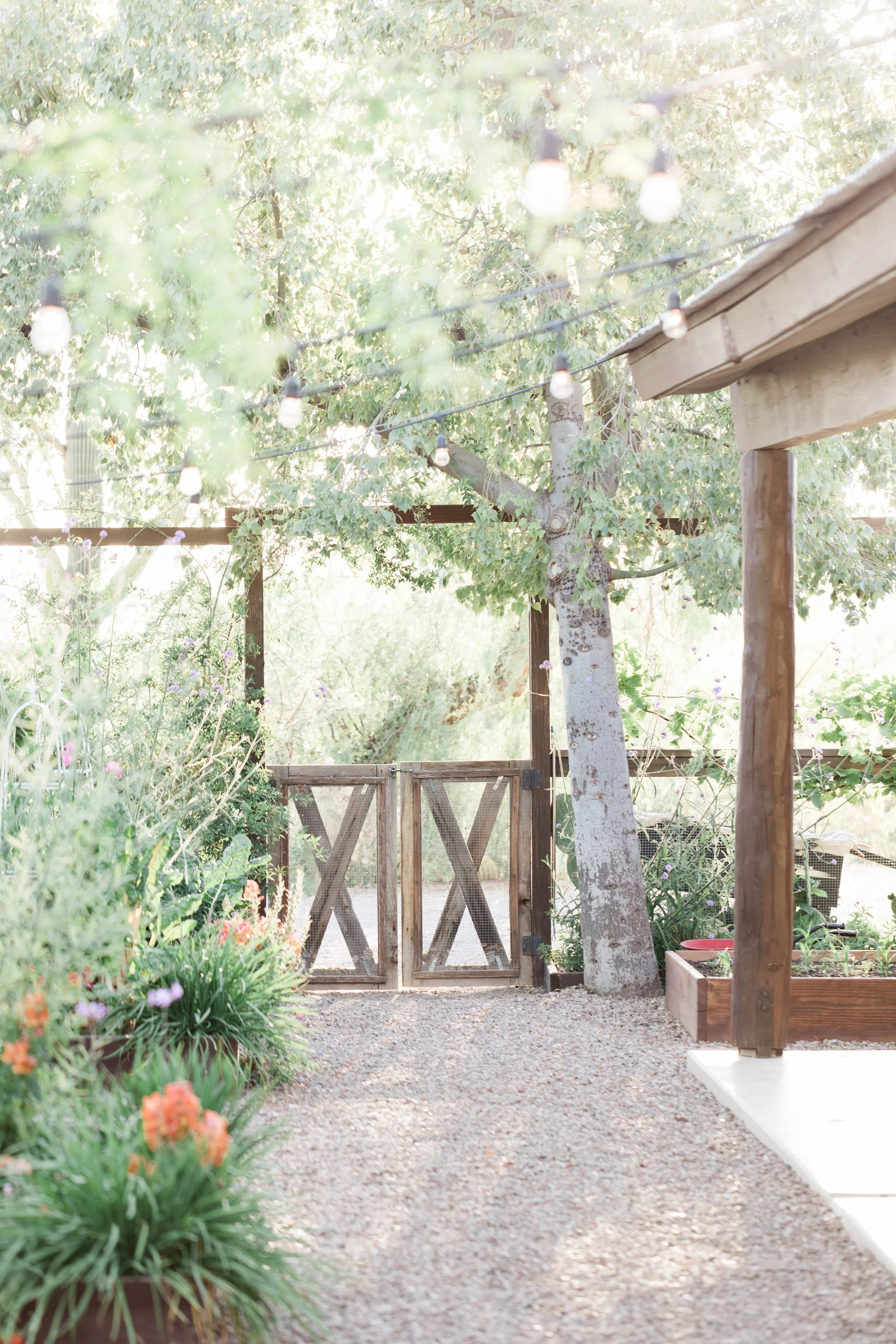 A garden pathway with lush green plants and flowers on the left, a wooden gate in the center, and a tree with string lights hanging above, captured in soft natural light.
