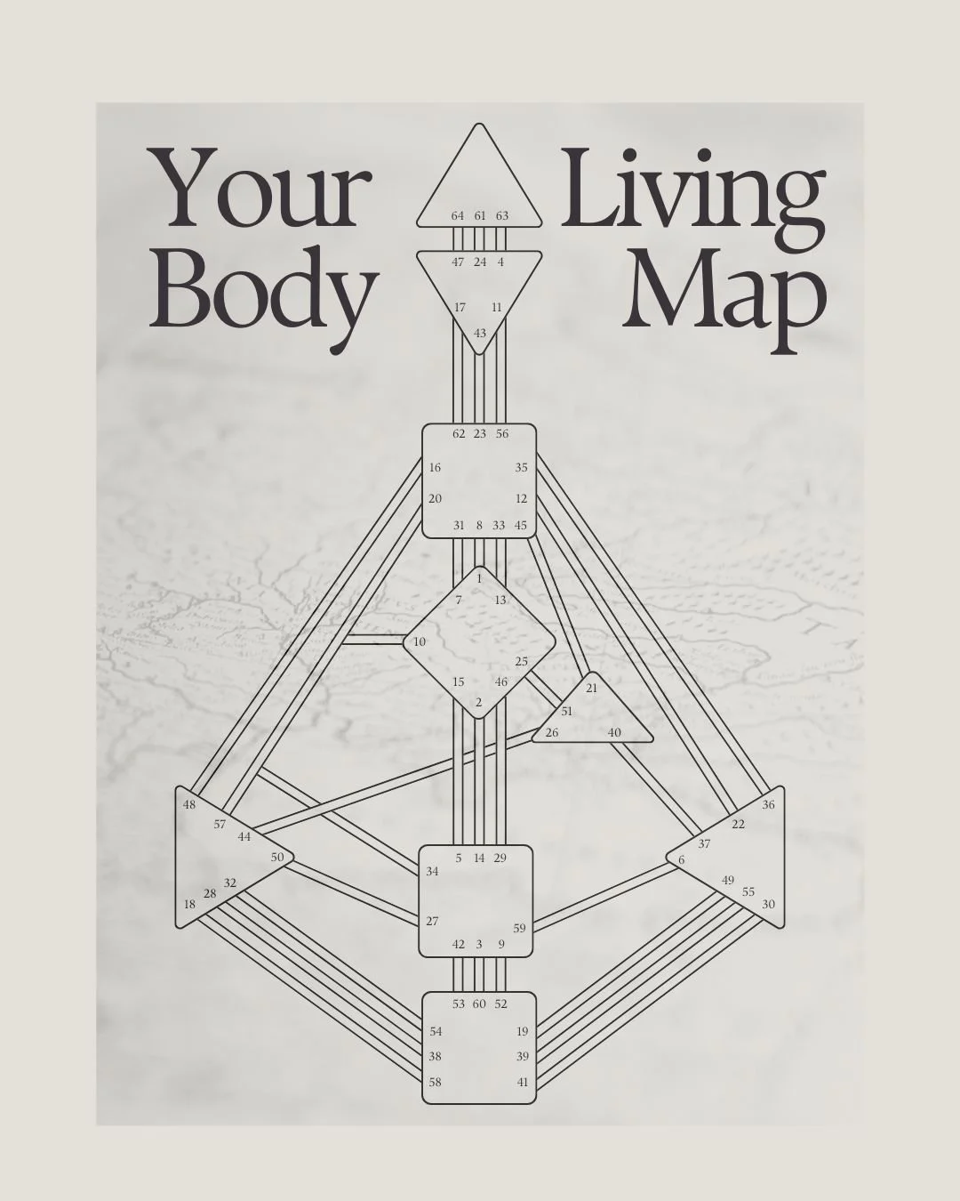 An image of a blank Human Design bodygraph.