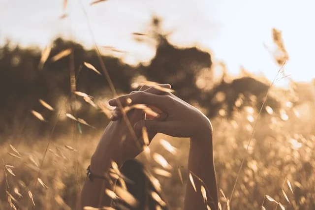 Embodied Deconditioning: The Somatic Nature of the Human Design Experiment