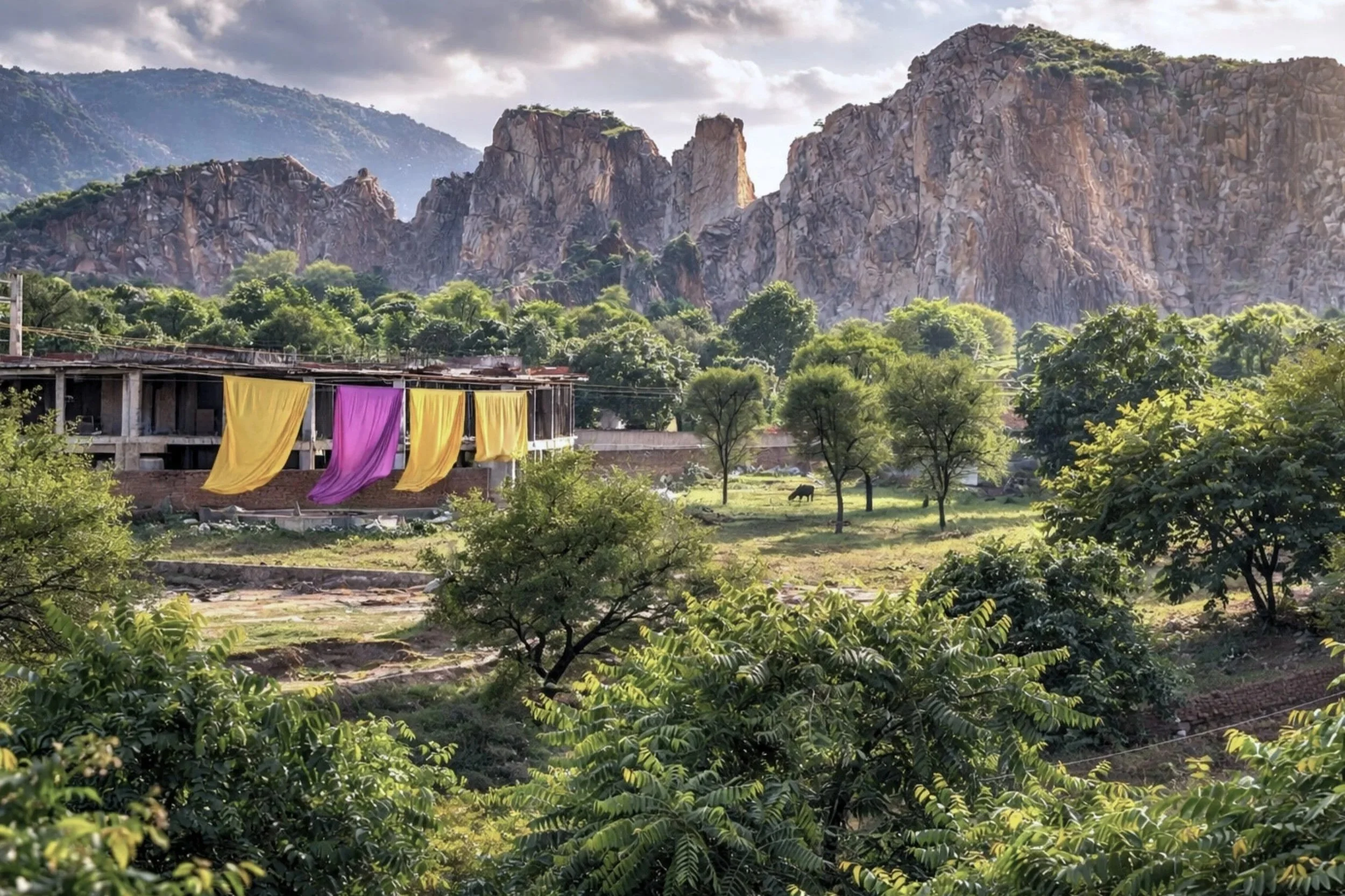 Scenic landscape of green trees, a building with colorful yellow and purple fabrics hanging, rocky mountains in the background, and a cow grazing in the distance.