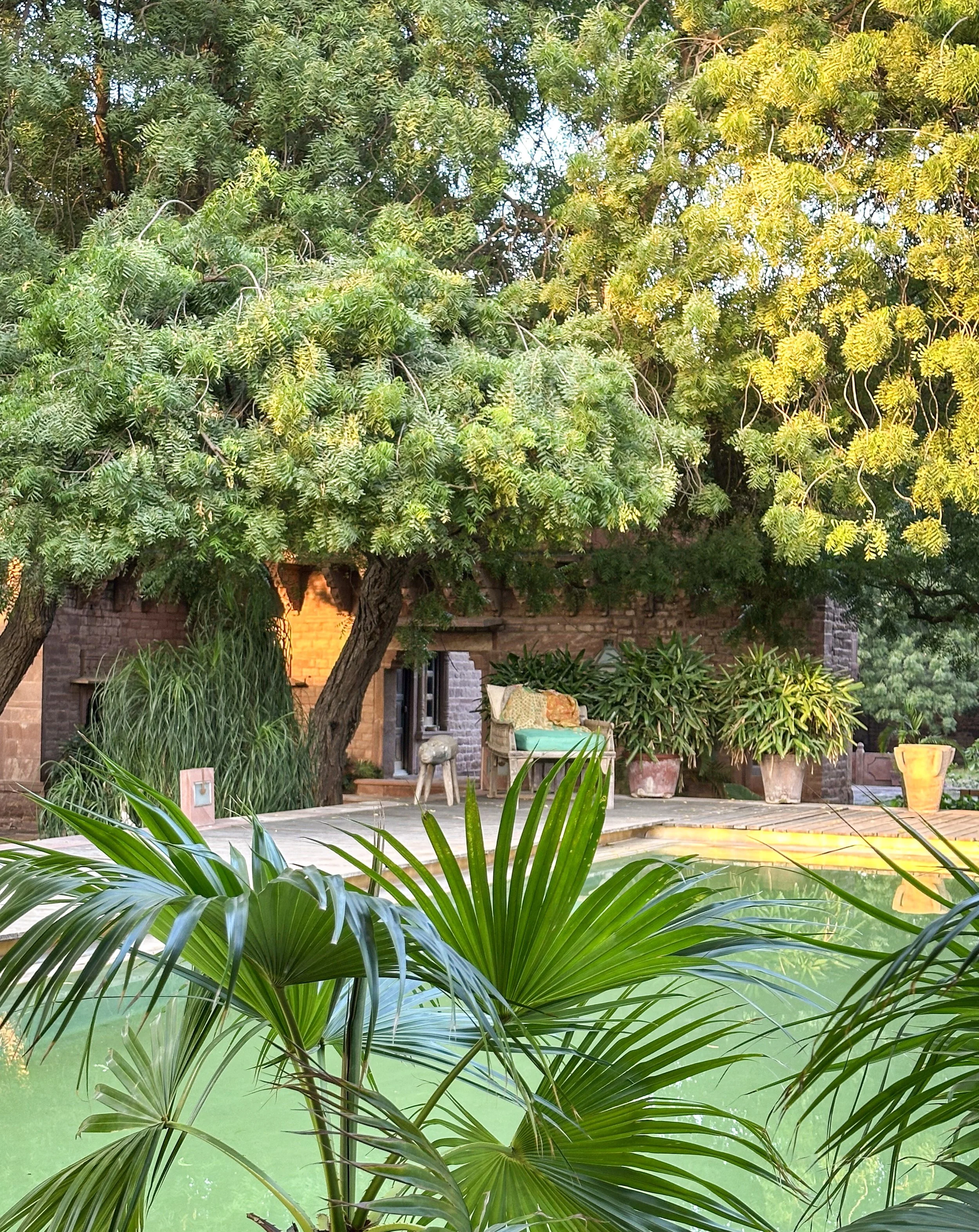 Lush garden and pool grounds at Sukh Sagar heritage haveli, Jodhpur, Rajasthan - India with Bernadette