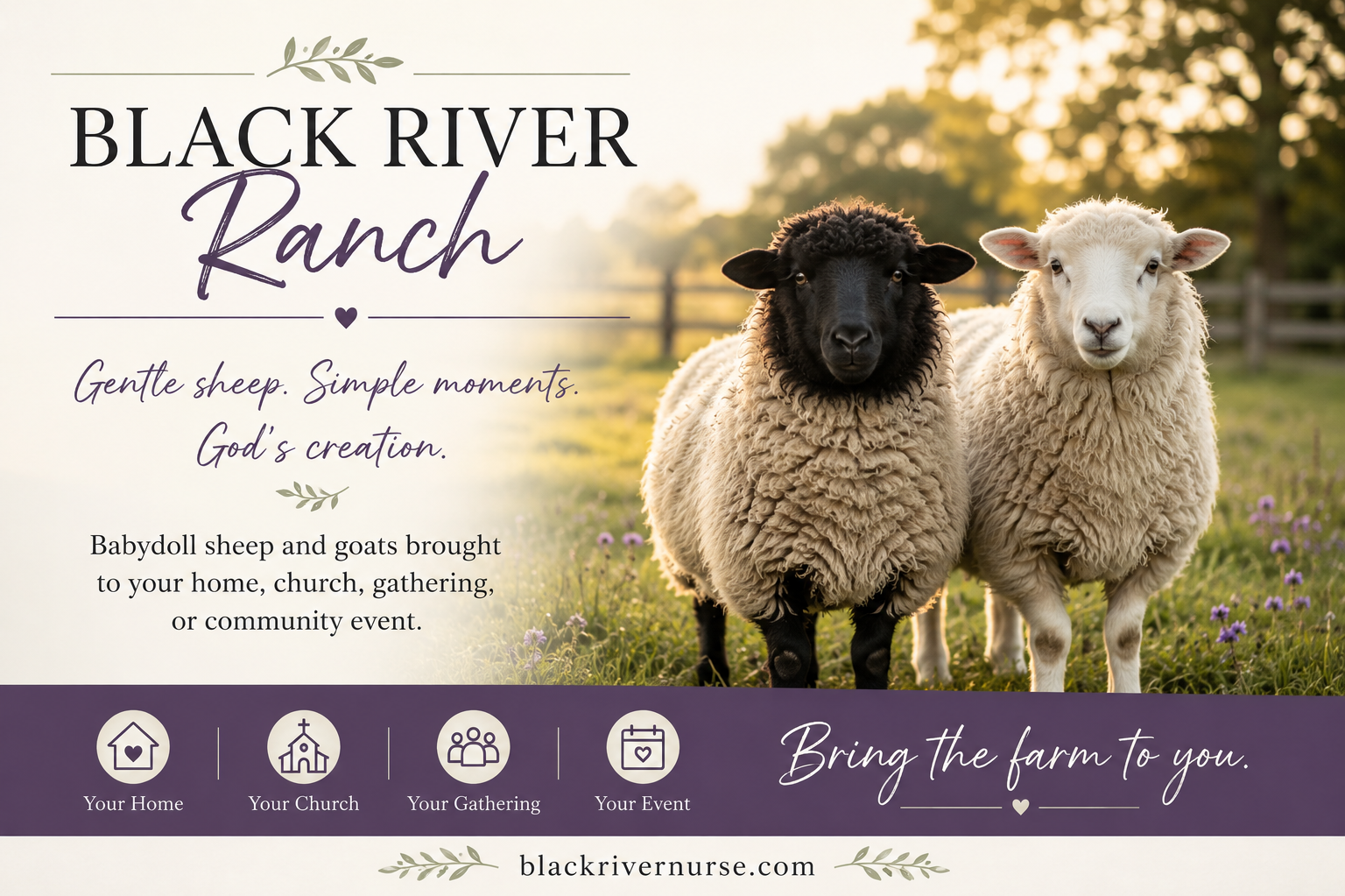 A promotional flyer for the Black River Ranch event featuring two sheep, one black-faced and one white-faced, standing on a green field with trees and a fence in the background during sunset.