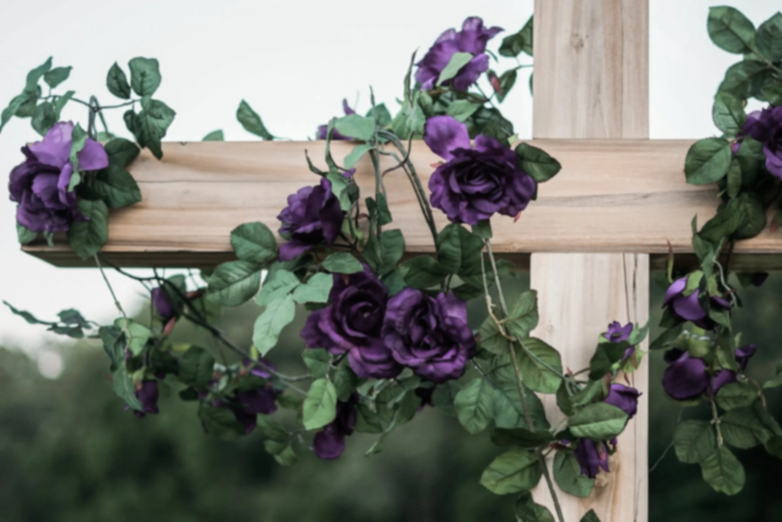 Purple roses and green leaves positioned on a wooden cross