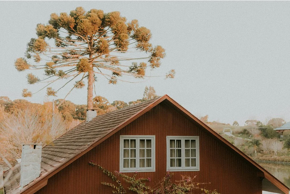 Lorem ipsum dolor sit amet consectetur.