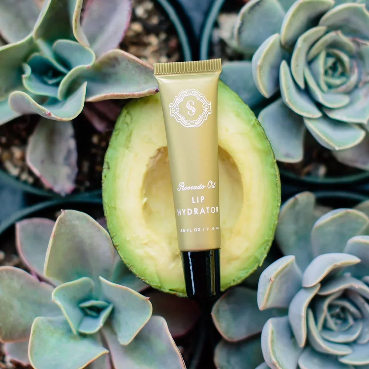 Avocado-Lip-Hydrator1.webp