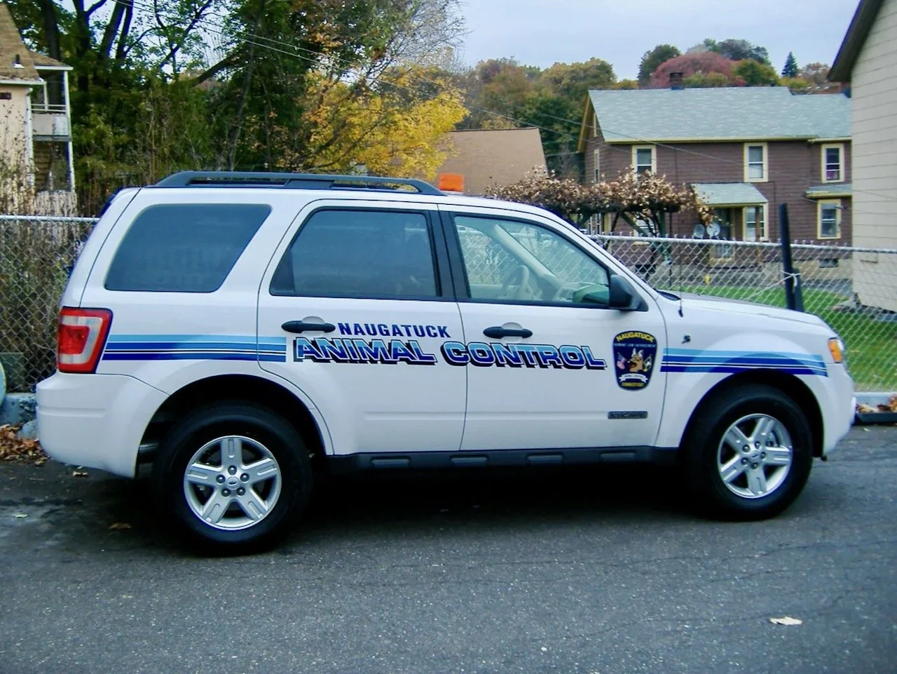 Vehicle-Graphics-Lettering - 24.jpeg