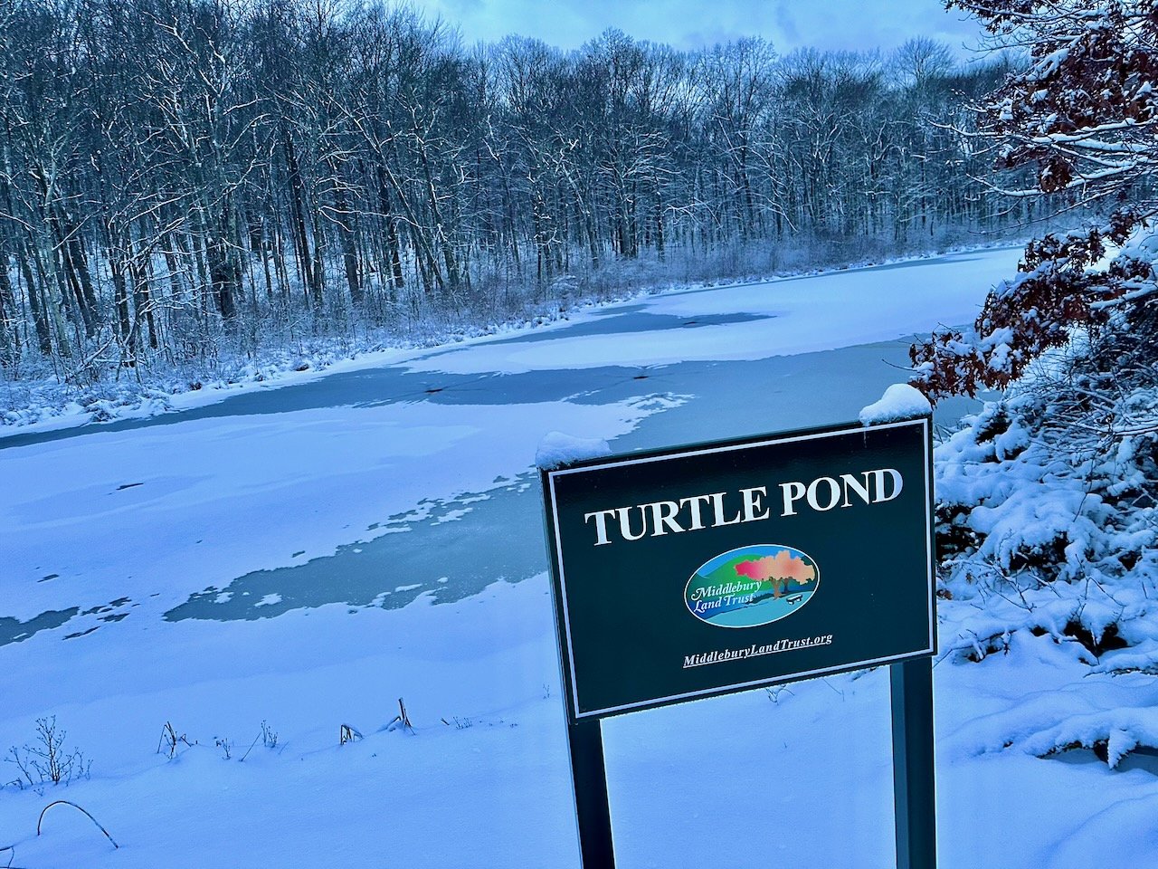 CT-Signcraft-Sign-Company - 1.jpeg