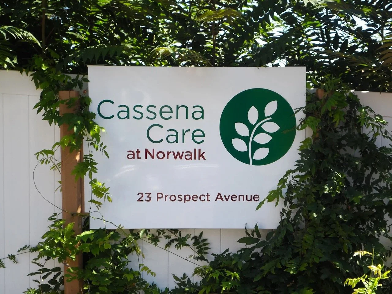 Connecticut-Care-Signs - 1.jpeg