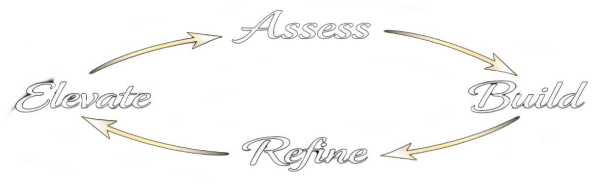 Assess Refine Build Elevate
