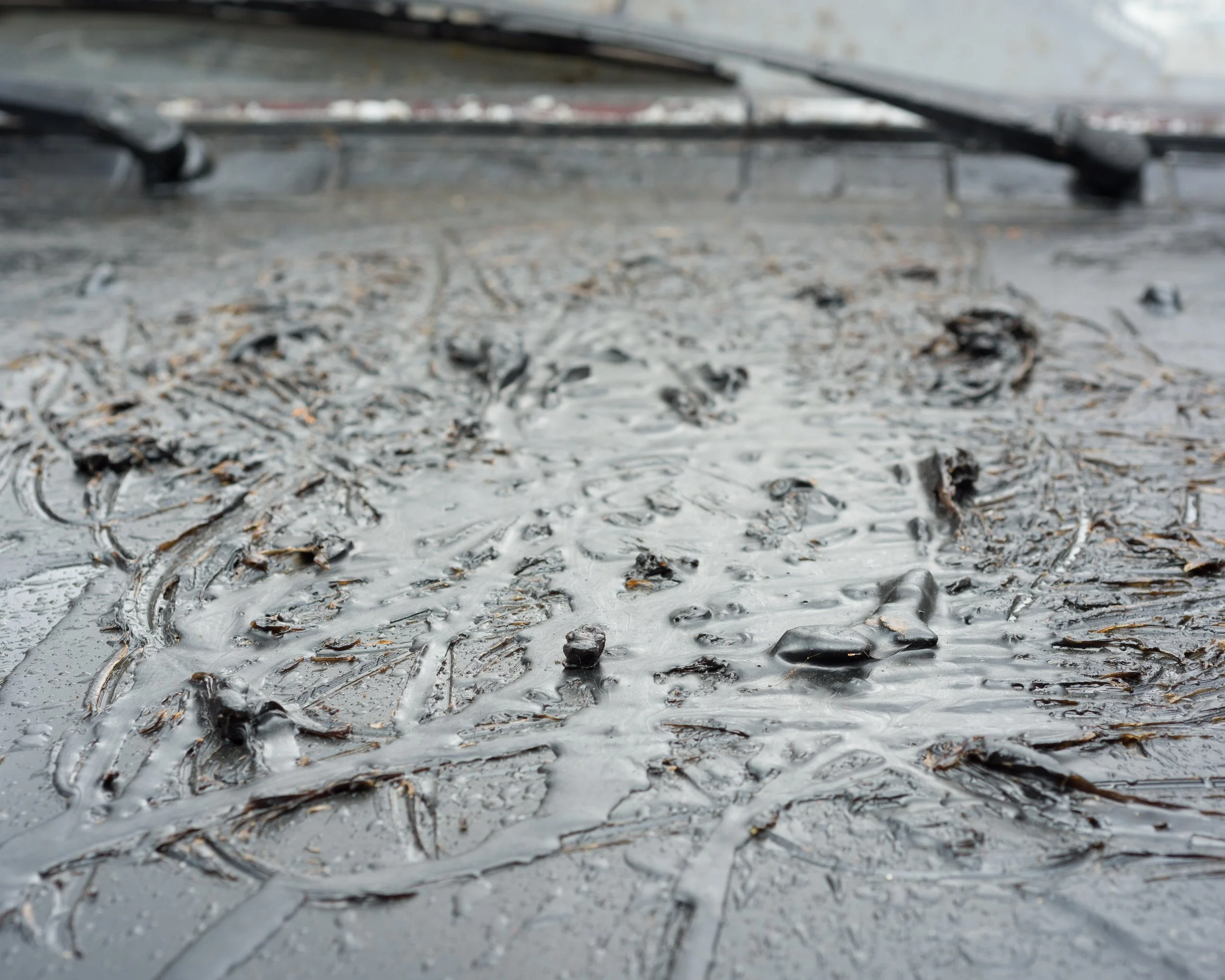 car shoot test0495.jpg