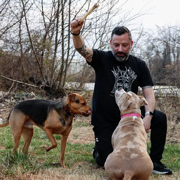 Playing with dogs and design