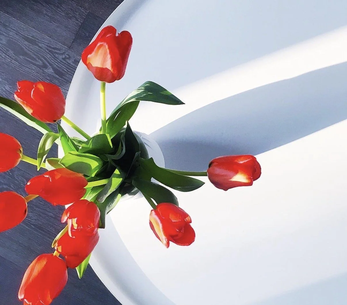 Red tulips in a white vase on a dark surface, with sunlight casting shadows.