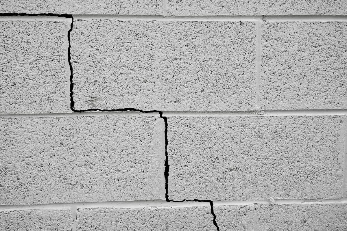 Foundation Cracks: When to Worry About Water, Pests, or Damage