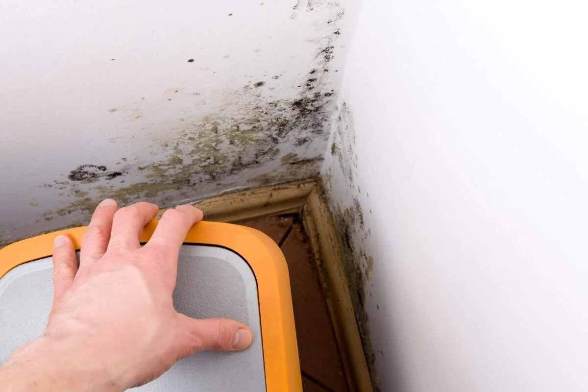 water in crawl space