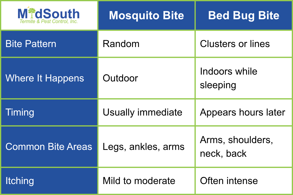 mosquito bite vs bed bug bite
