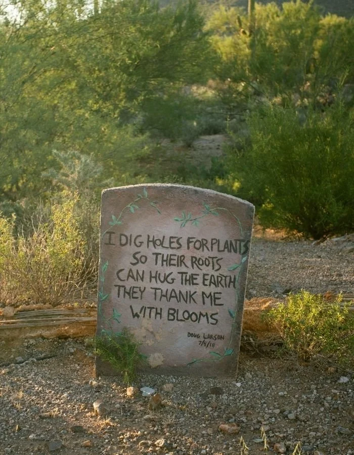 Tombstone in front of a fallen Saguaro at The Inn